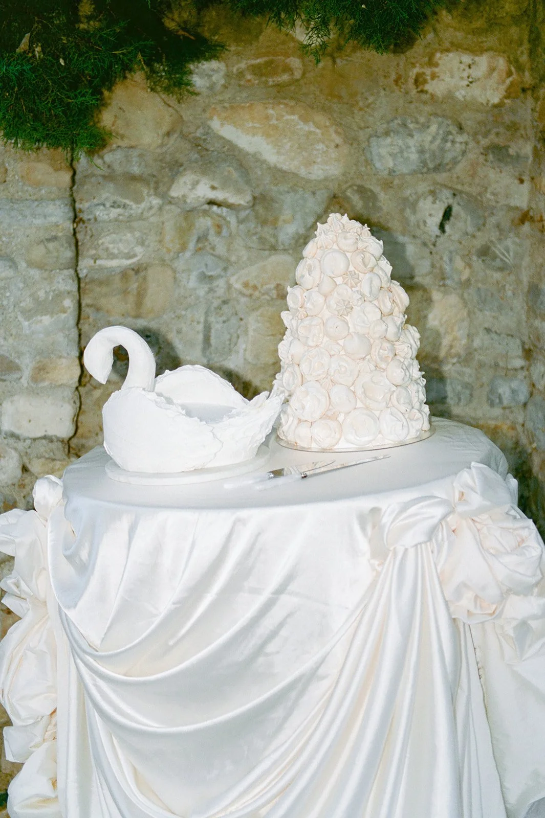 Swan Lake Editorial Film L + J-163.jpg