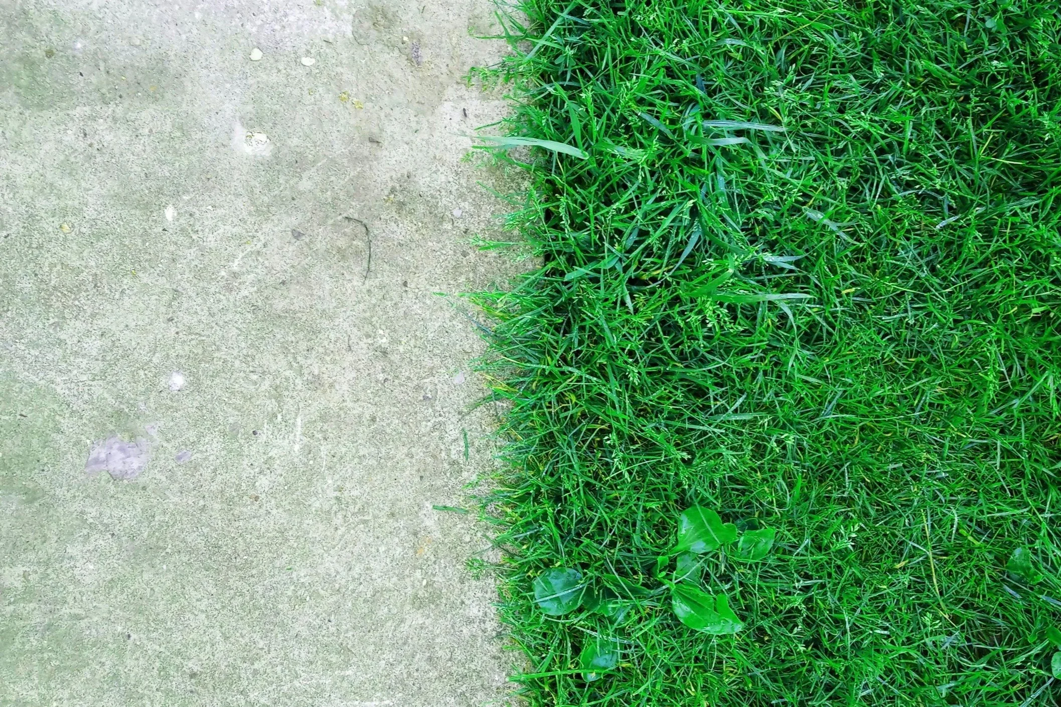 The Myth of the “Together” Organization