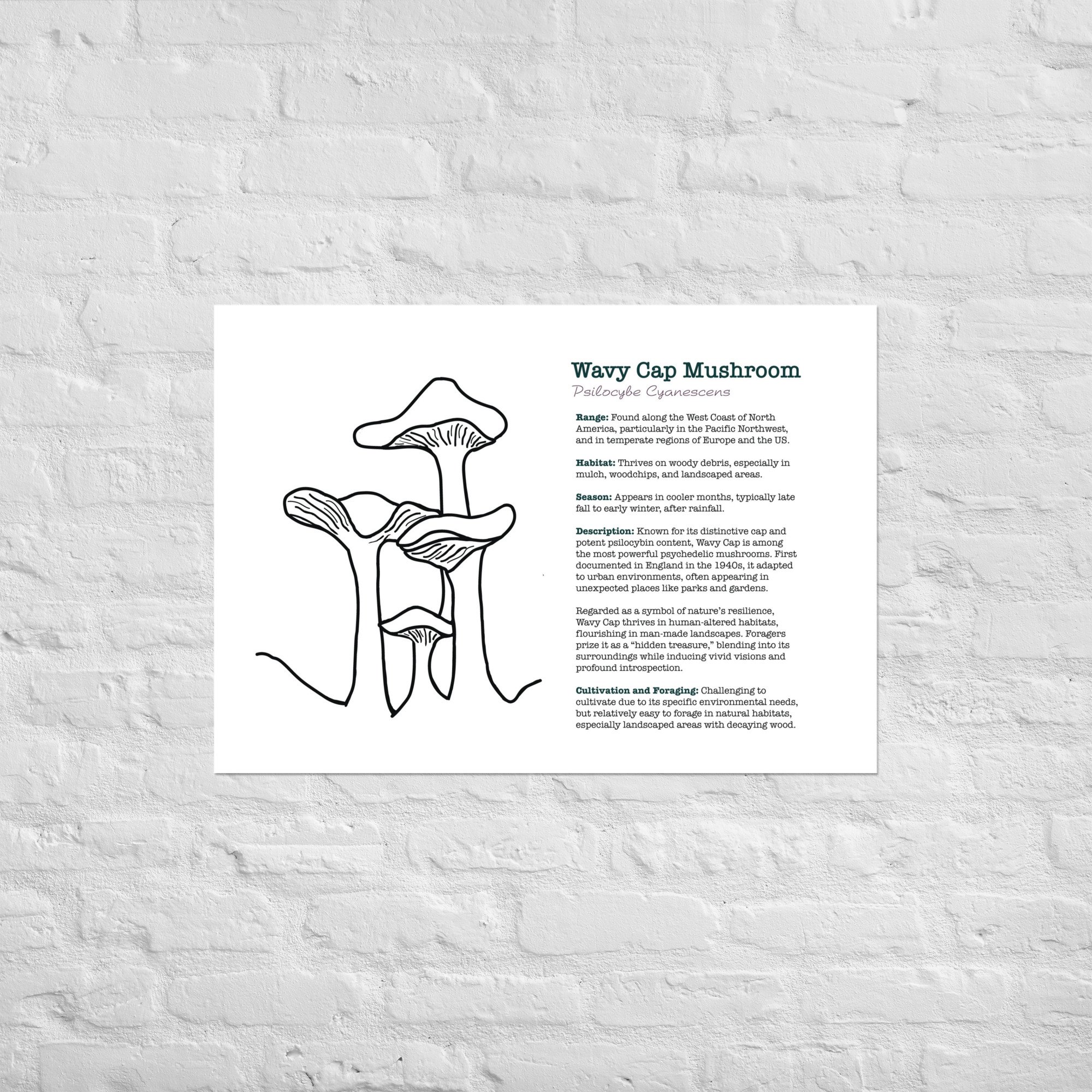 enhanced-matte-paper-poster-(in)-a1-(23.3x33.1)-front-67932e6cc3510.jpg