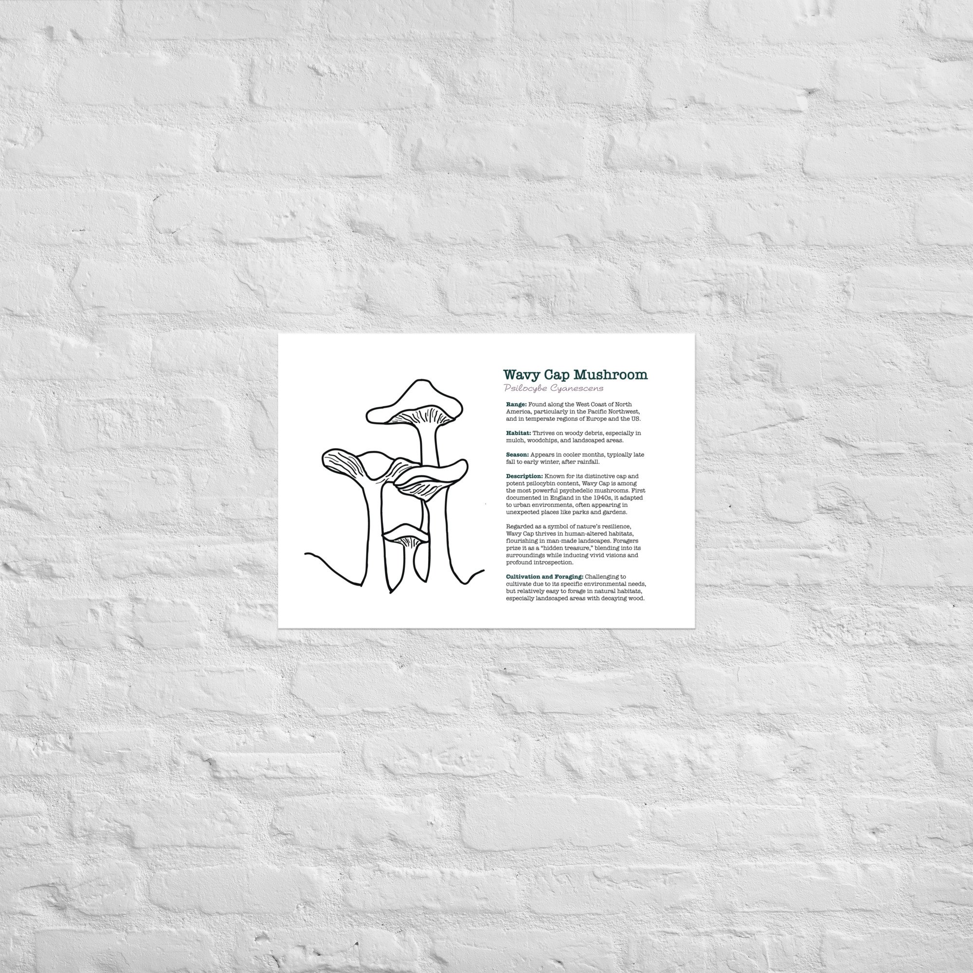 enhanced-matte-paper-poster-(in)-a2-(16.5x23.3)-front-67932e6cc3583.jpg