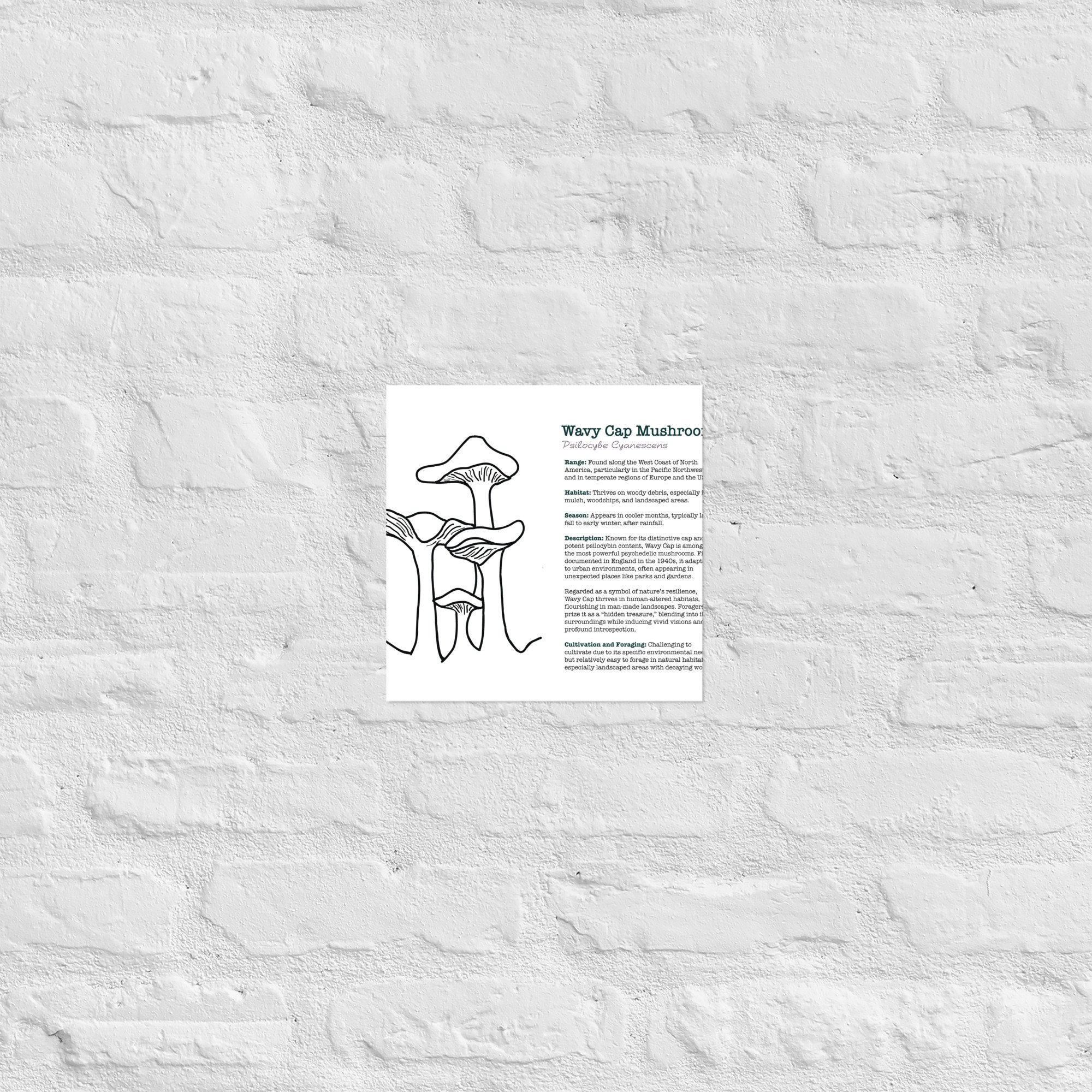 enhanced-matte-paper-poster-(in)-10x10-front-67932e6cc360b.jpg
