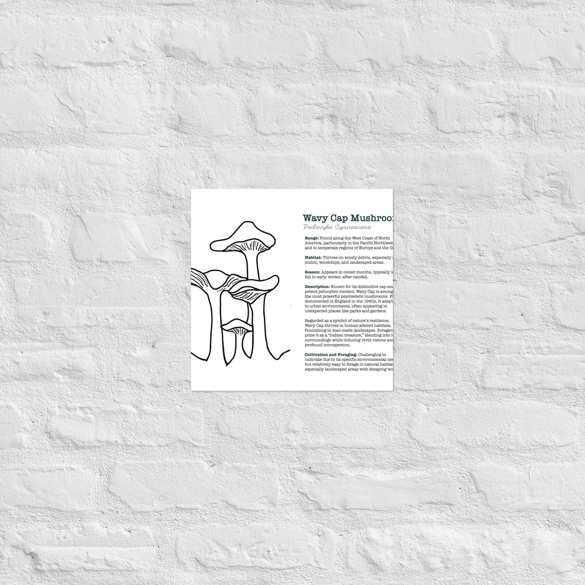 enhanced-matte-paper-poster-(in)-12x12-front-67932e6cc37c8.jpg