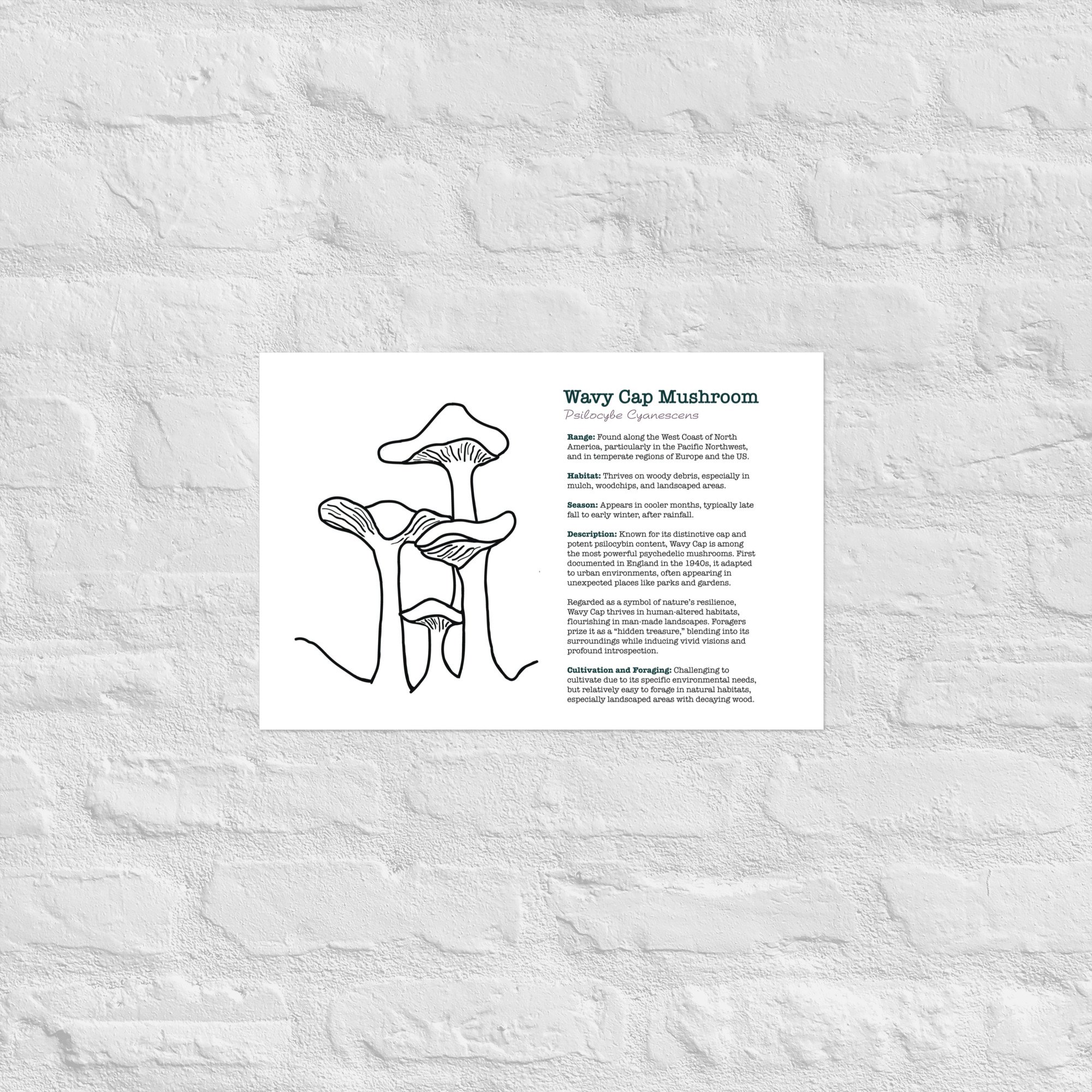 enhanced-matte-paper-poster-(in)-12x18-front-67932e6cc39c1.jpg