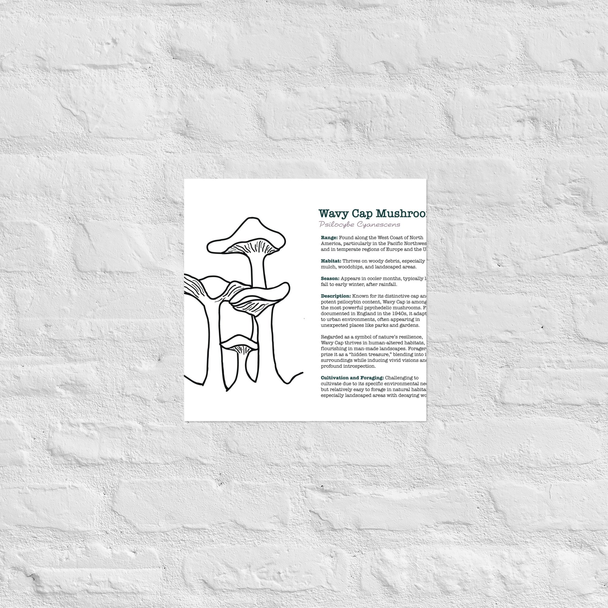 enhanced-matte-paper-poster-(in)-14x14-front-67932e6cc3a6a.jpg