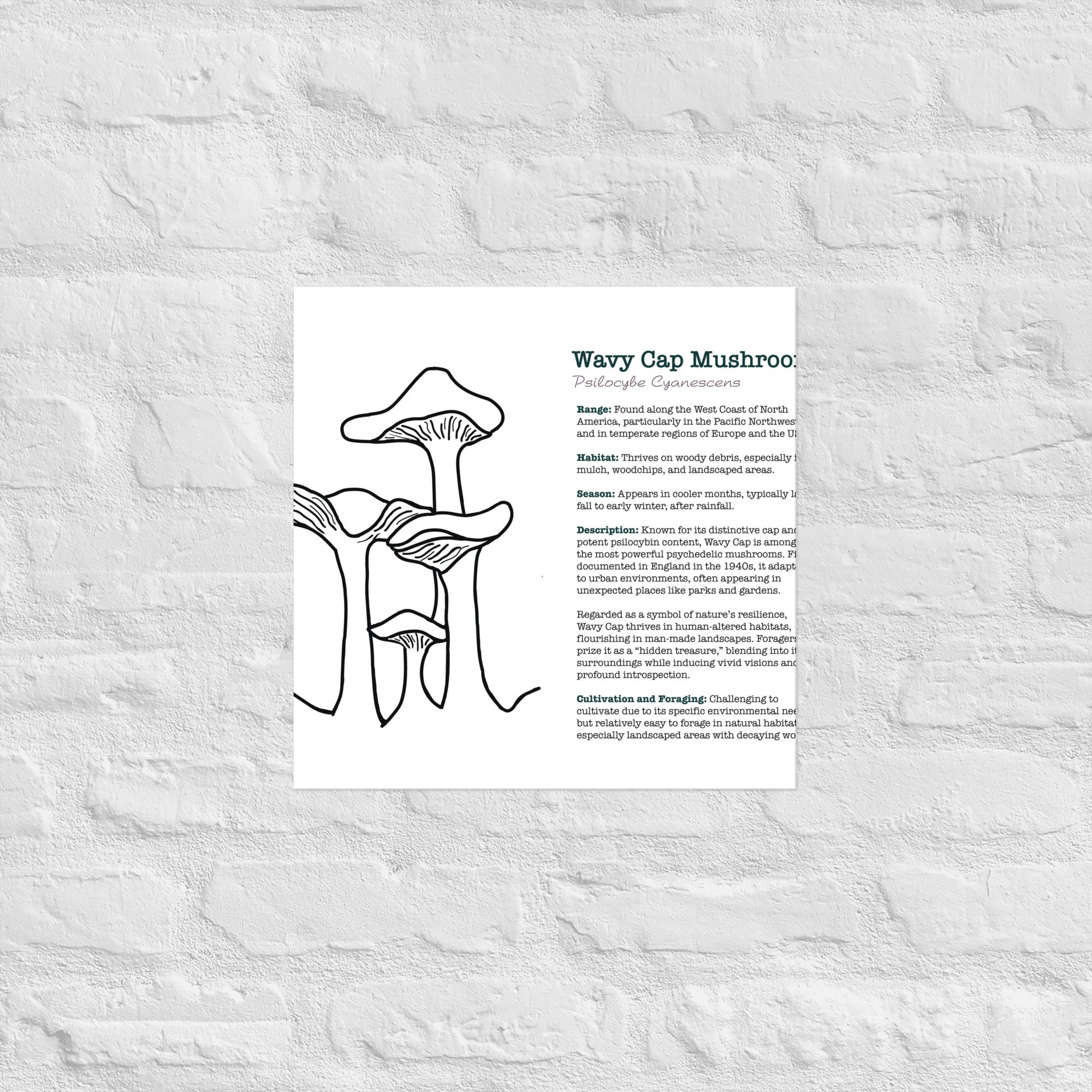 enhanced-matte-paper-poster-(in)-16x16-front-67932e6cc3b1b.jpg