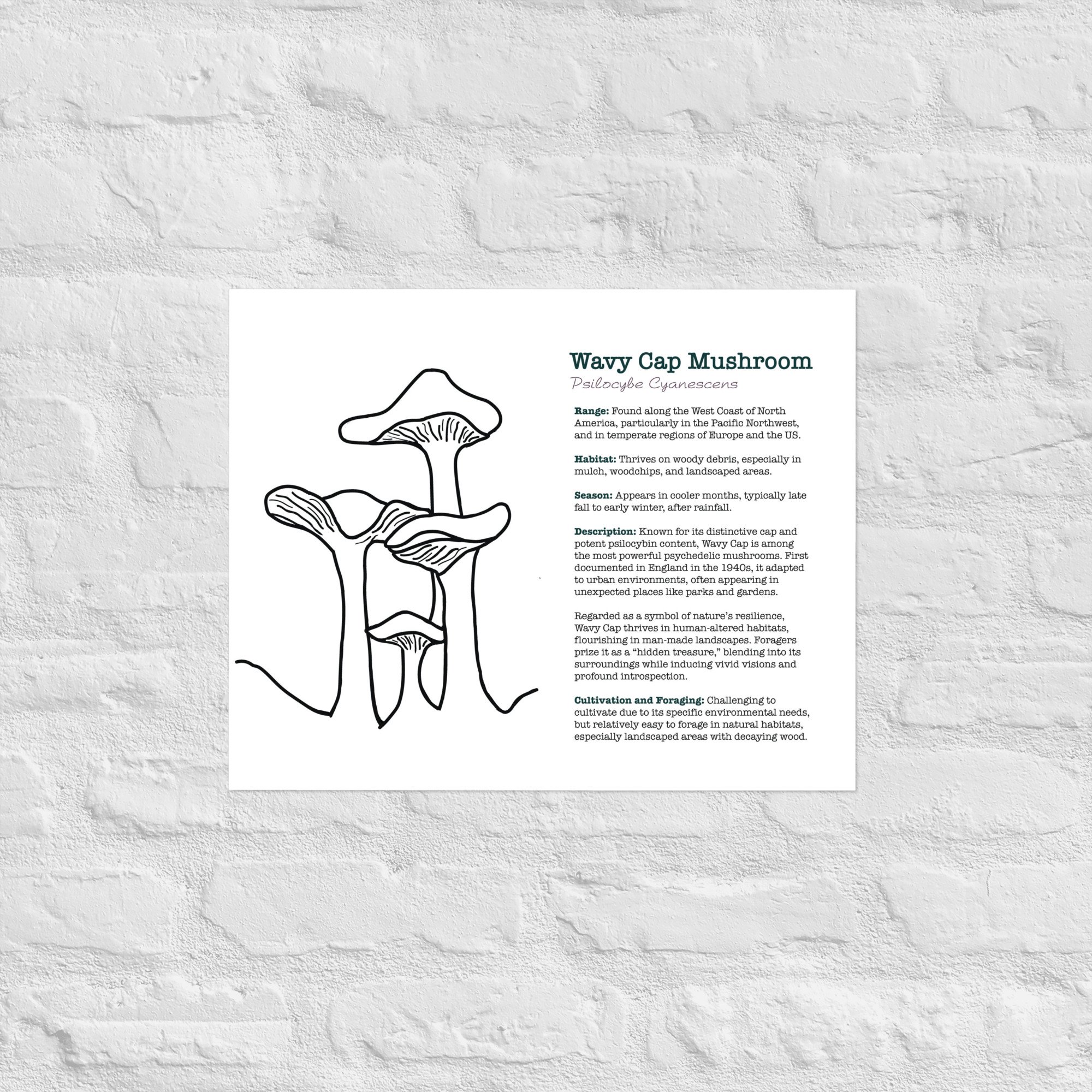 enhanced-matte-paper-poster-(in)-16x20-front-67932e6cc3bbf.jpg