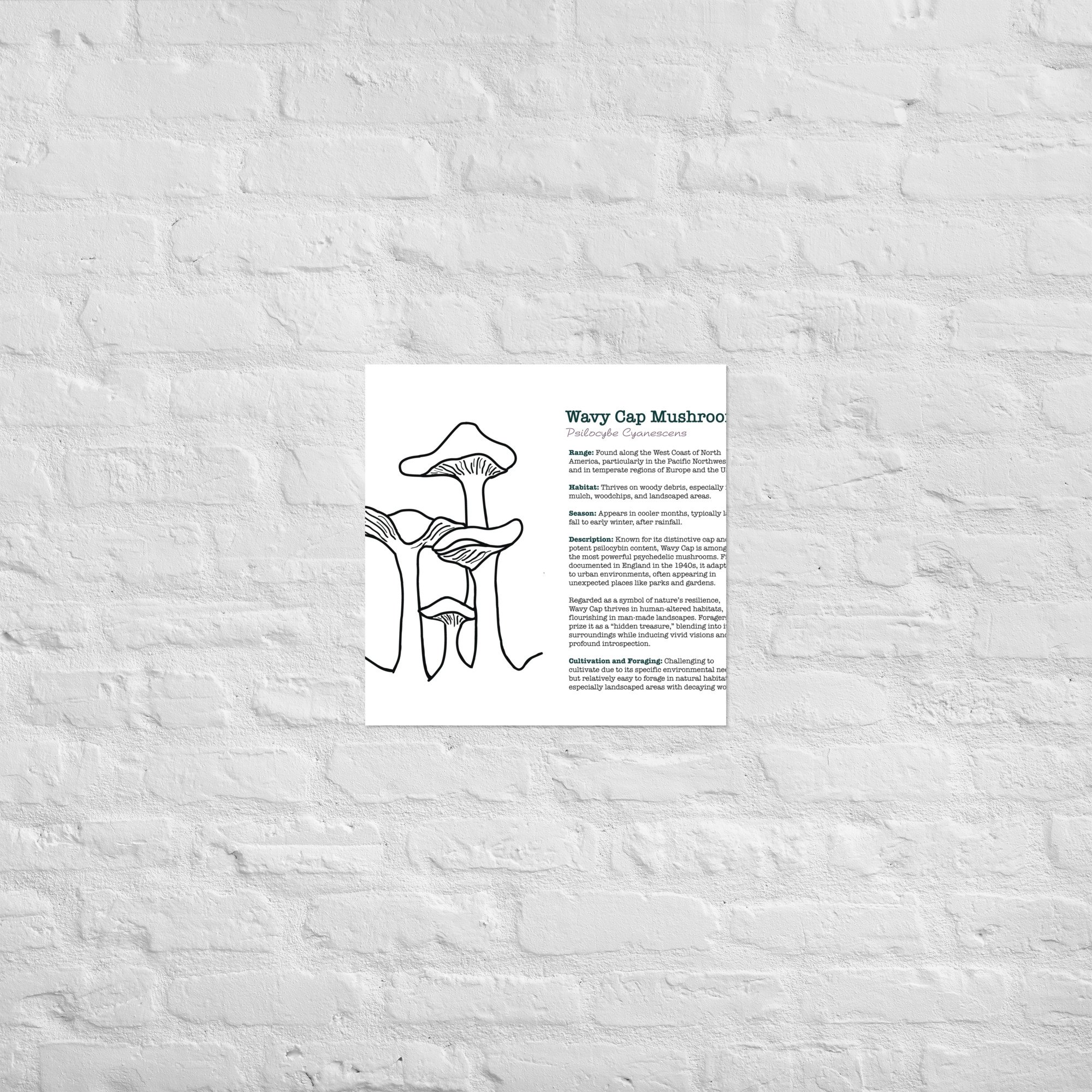 enhanced-matte-paper-poster-(in)-18x18-front-67932e6cc3c67.jpg