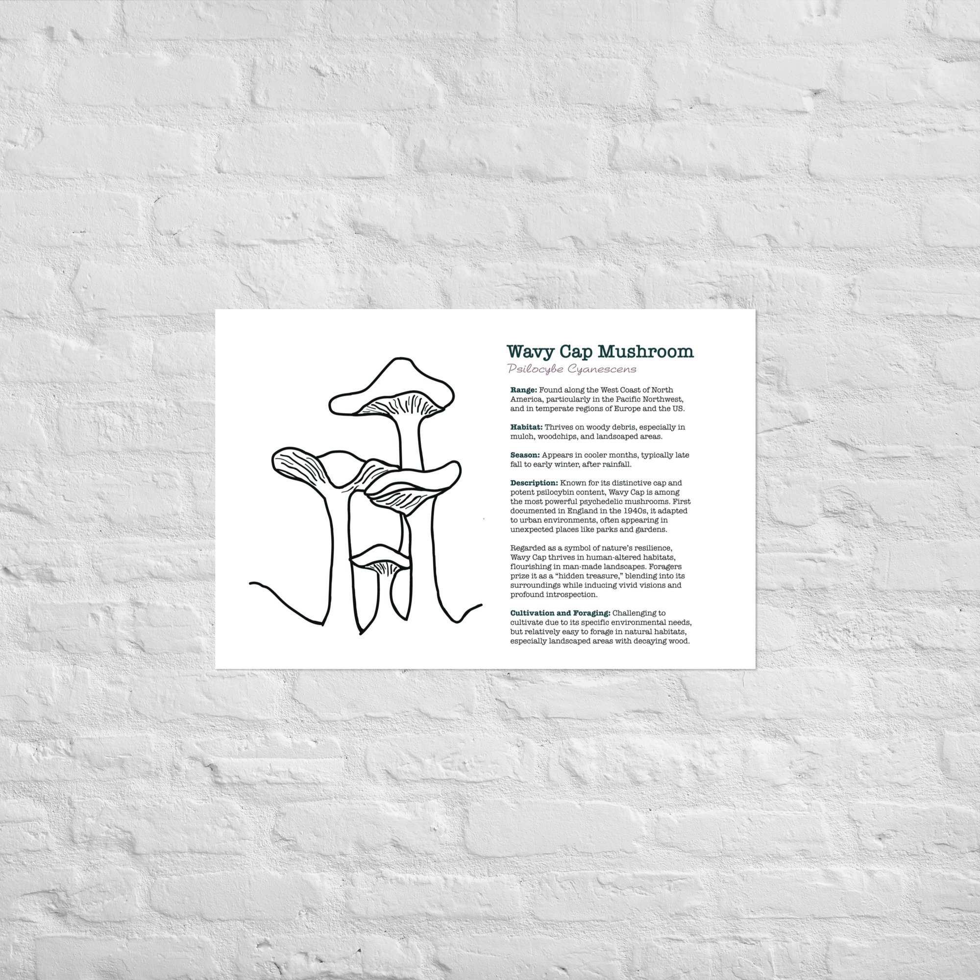 enhanced-matte-paper-poster-(in)-20x30-front-67932e6cc3dc4.jpg