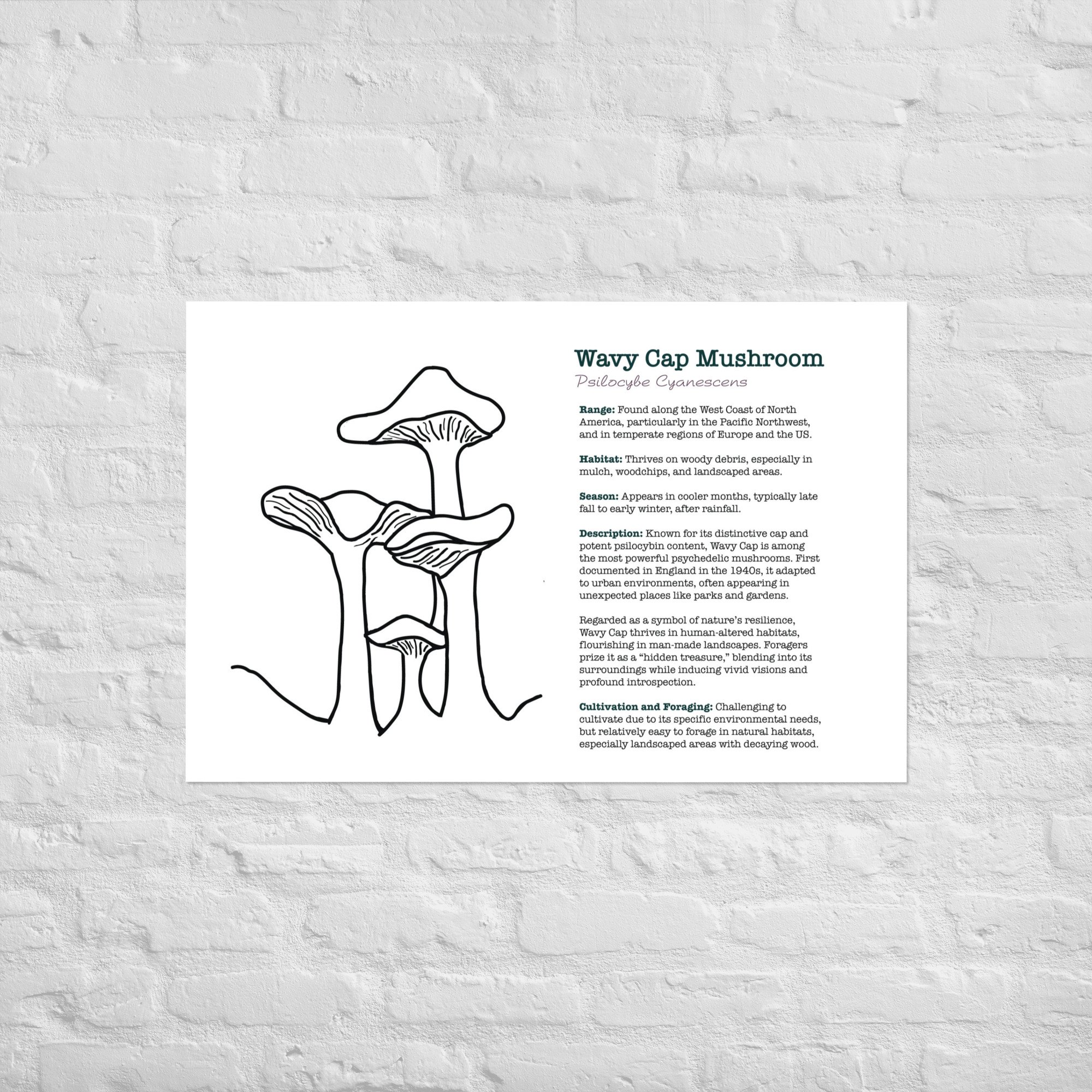enhanced-matte-paper-poster-(in)-24x36-front-67932e6cc3eec.jpg