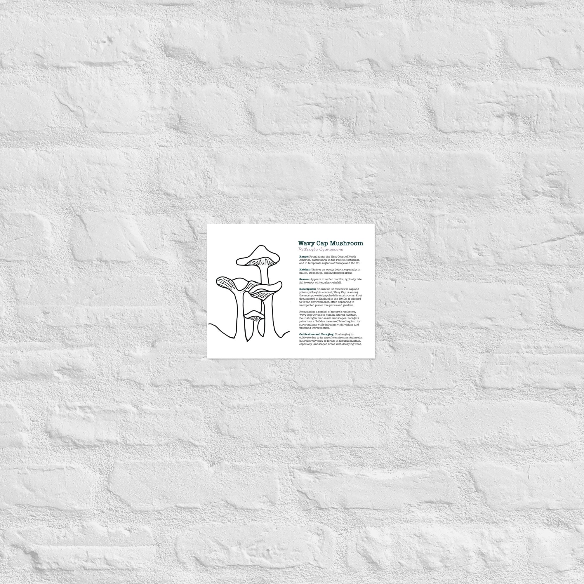 enhanced-matte-paper-poster-(in)-8x10-front-67932e6cc40e9.jpg