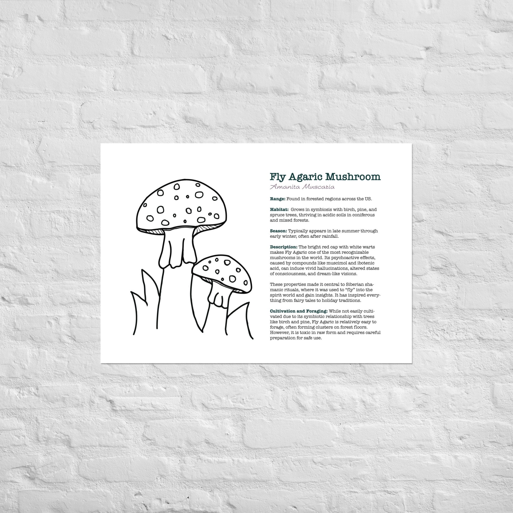 enhanced-matte-paper-poster-(in)-a1-(23.3x33.1)-front-67932ec50eb9b.jpg