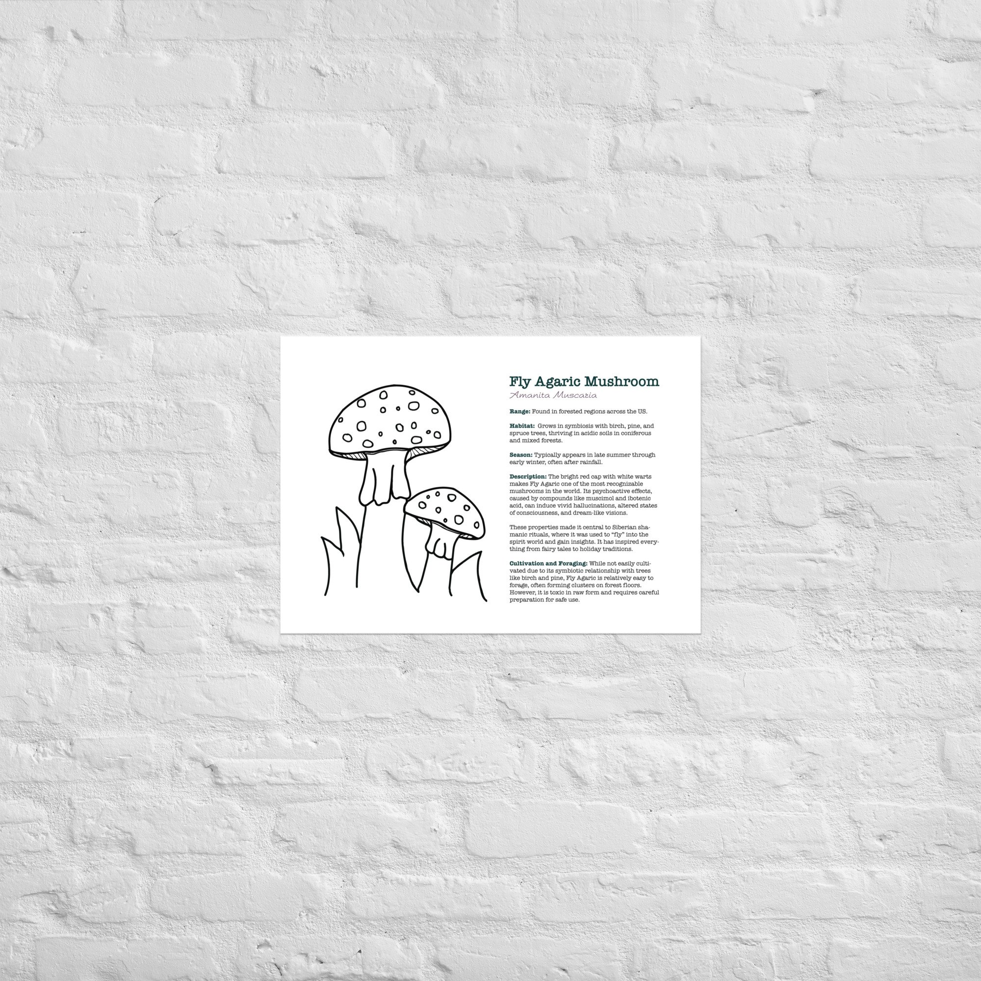 enhanced-matte-paper-poster-(in)-a2-(16.5x23.3)-front-67932ec50ec0e.jpg