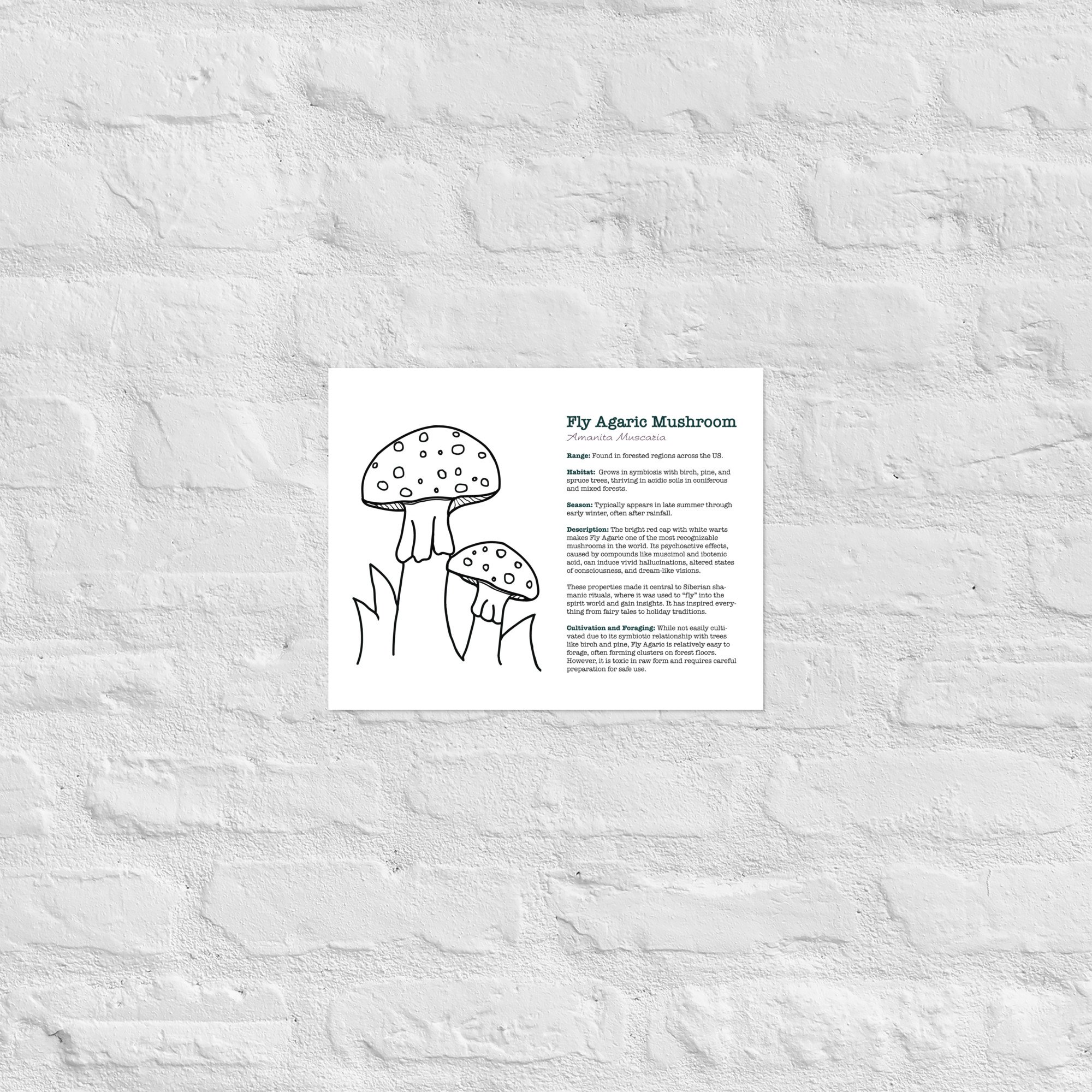 enhanced-matte-paper-poster-(in)-11x14-front-67932ec50ed1d.jpg
