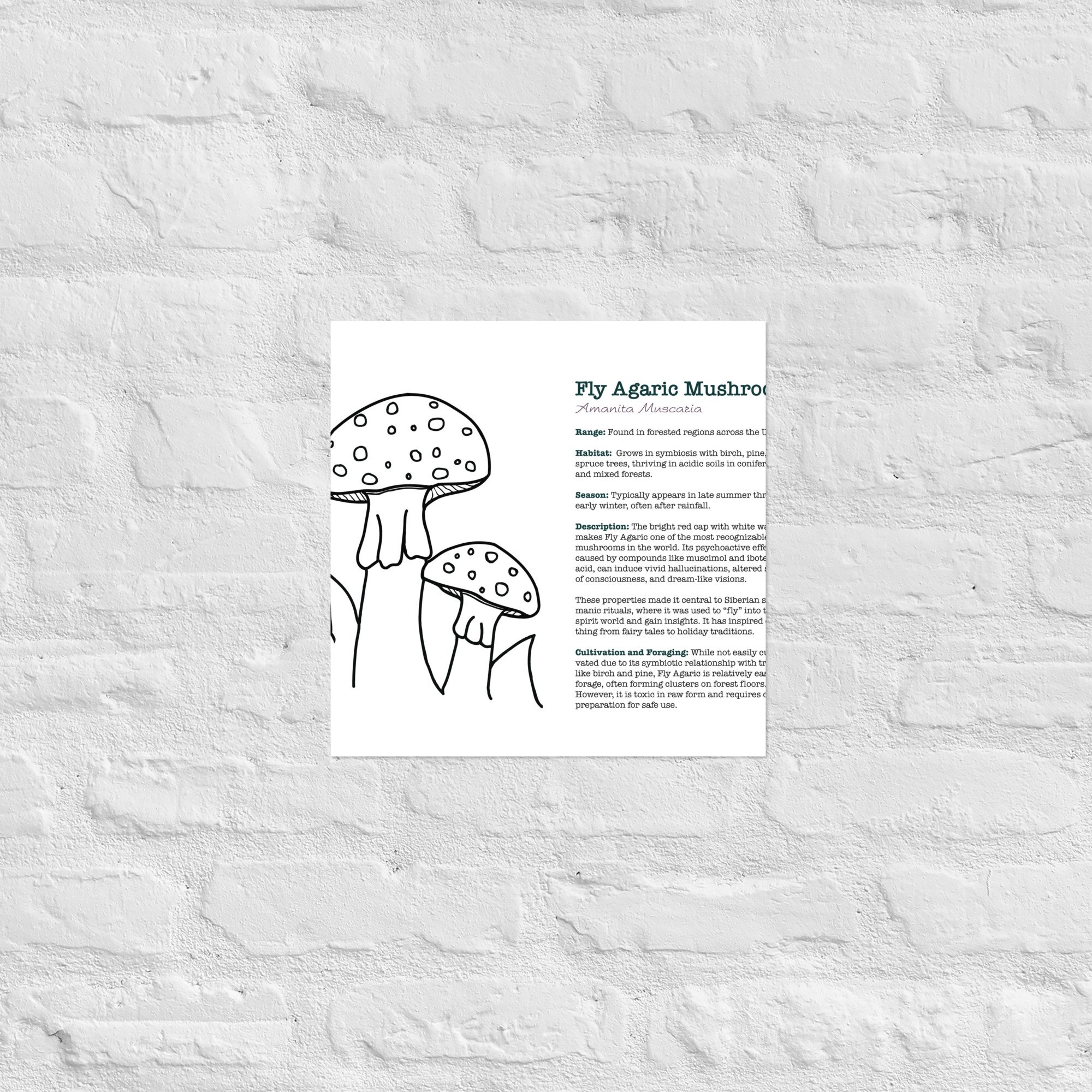 enhanced-matte-paper-poster-(in)-14x14-front-67932ec50ef6e.jpg