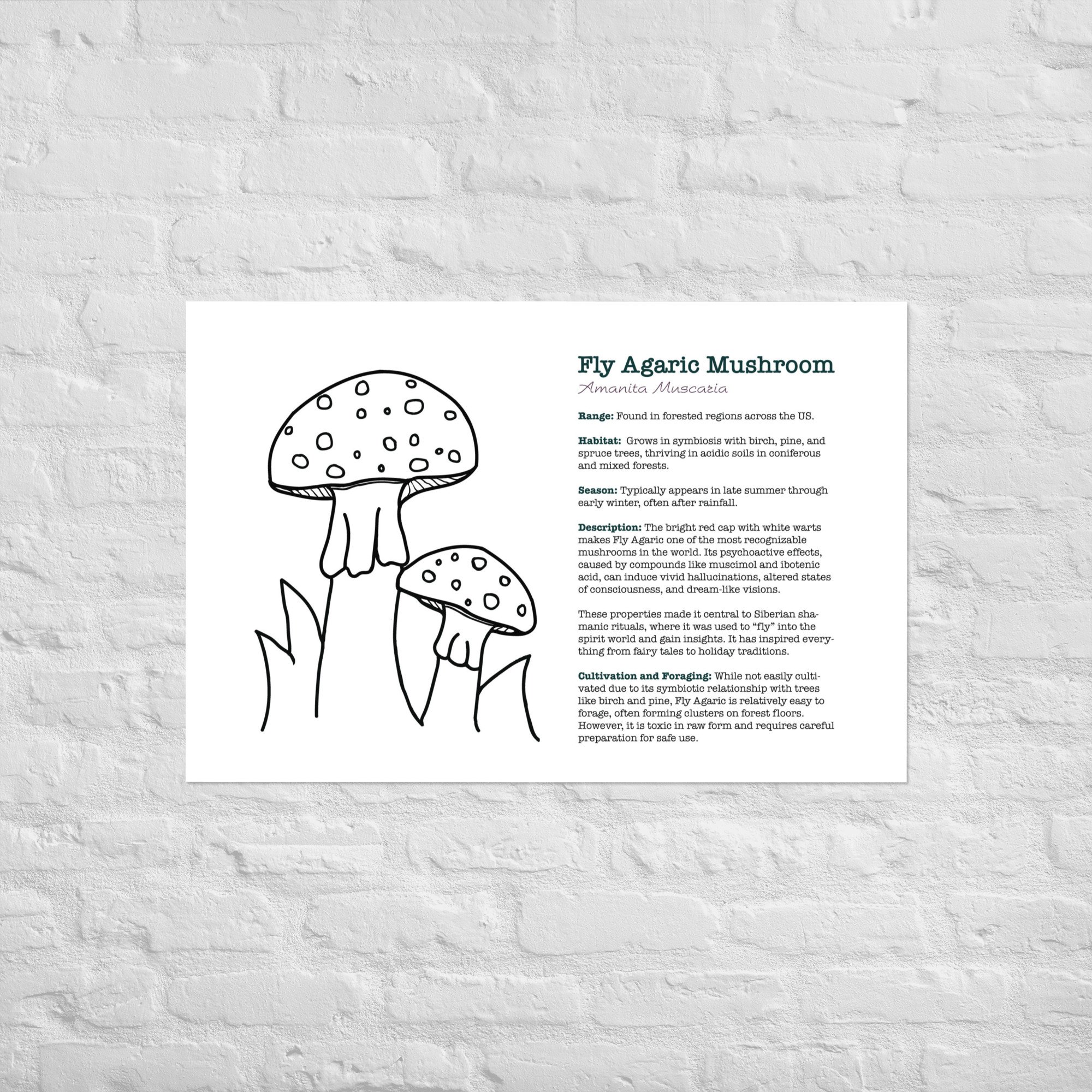 enhanced-matte-paper-poster-(in)-24x36-front-67932ec50f2a8.jpg