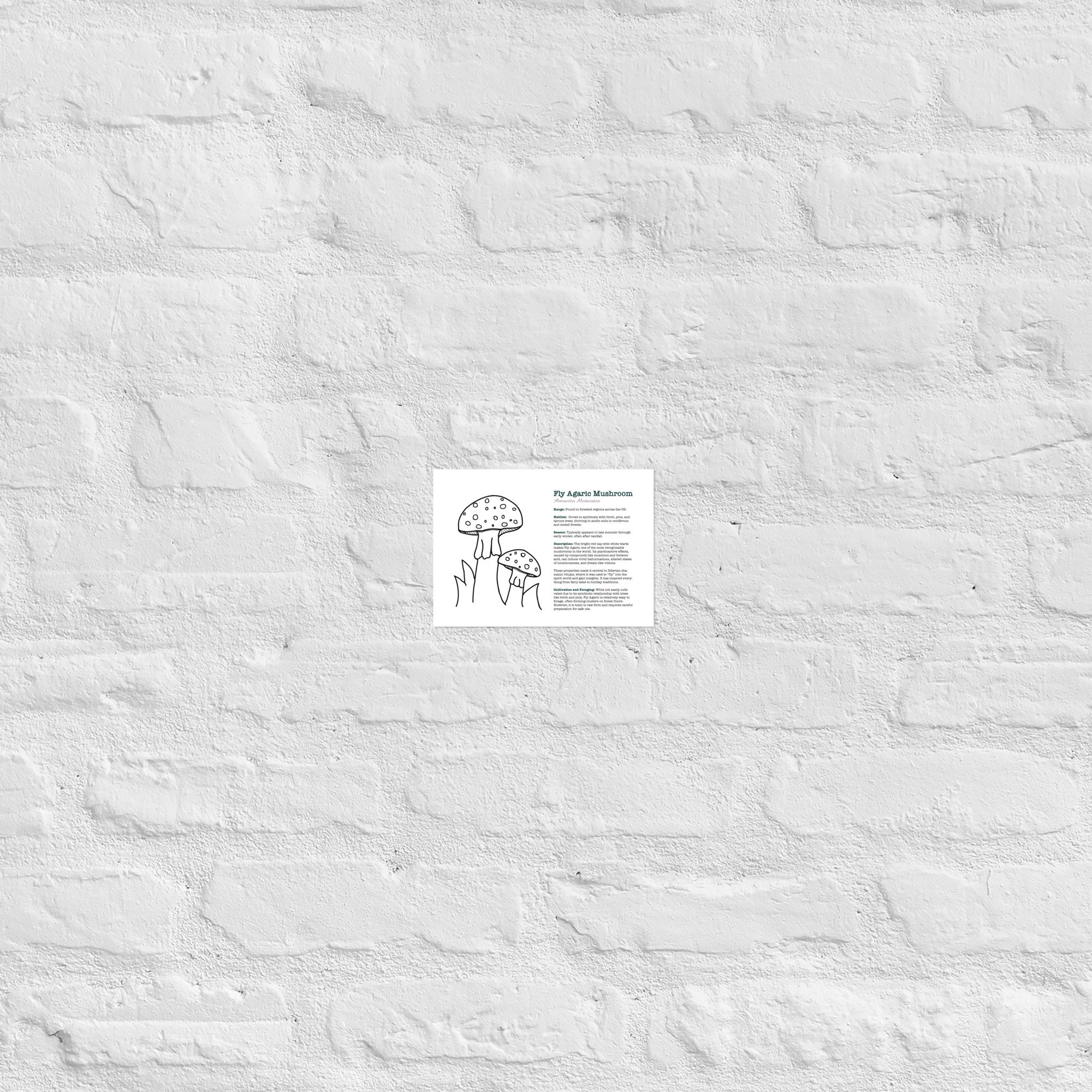 enhanced-matte-paper-poster-(in)-5x7-front-67932ec50f337.jpg