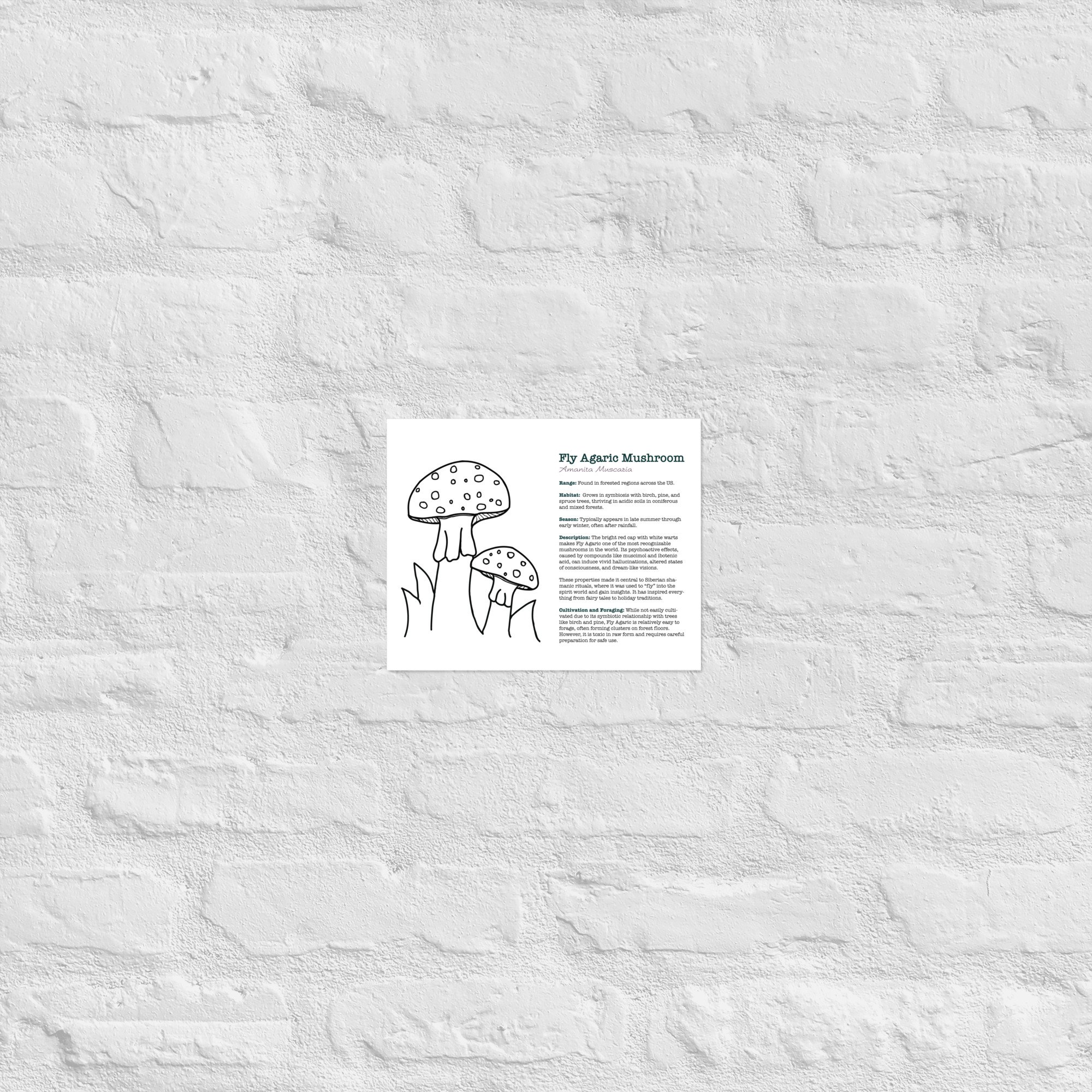 enhanced-matte-paper-poster-(in)-8x10-front-67932ec50f3c5.jpg