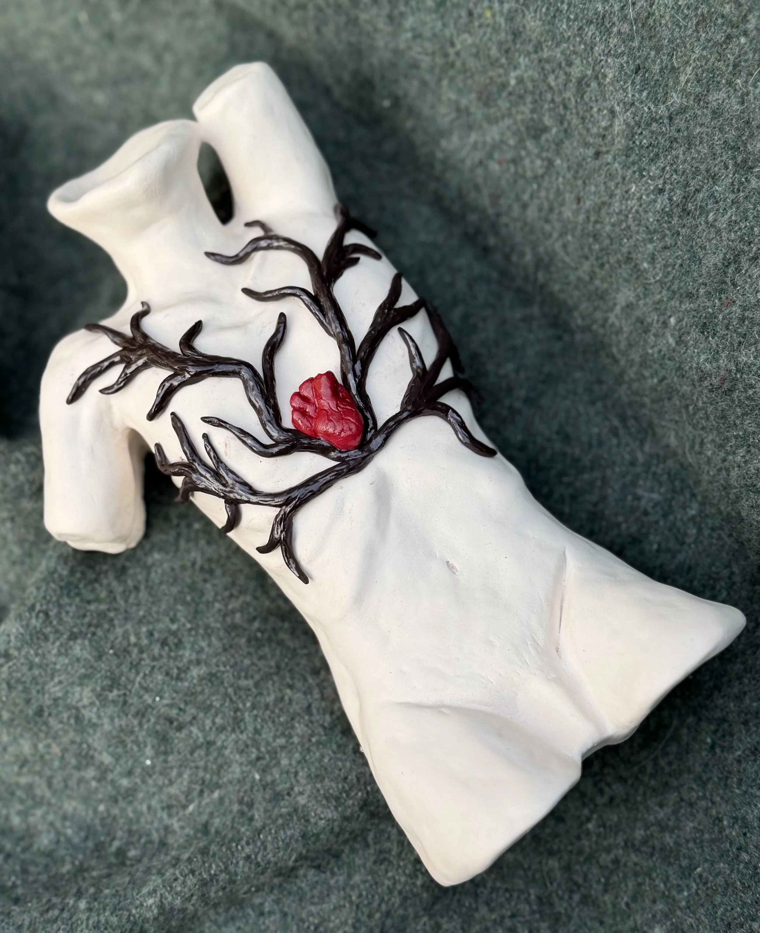 Marion-Roots from the top.jpg