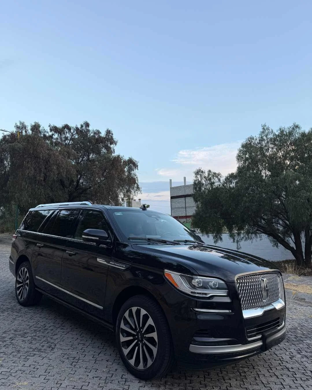 Auto negro tipo SUV estacionado en un camino pavimentado con árboles y cielo despejado en el fondo.