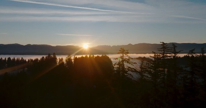 Foggy days in the valley ⛅️