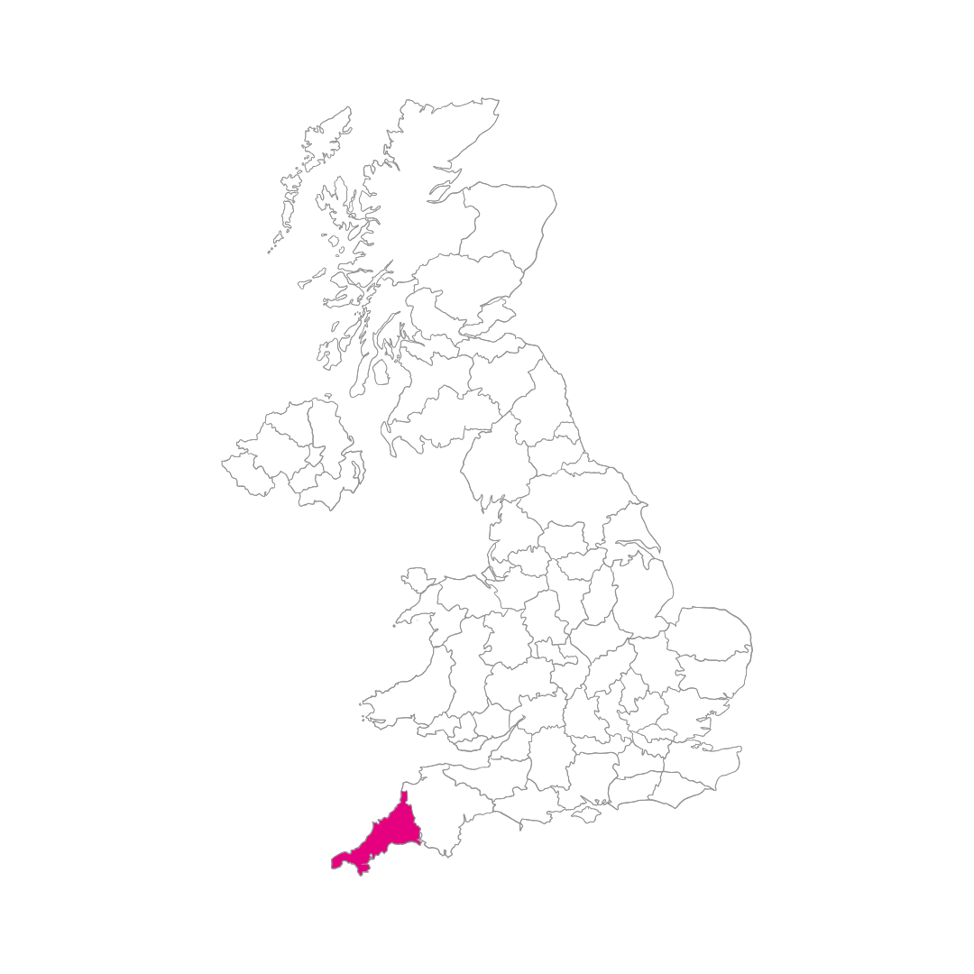 Scaling Your Cornish Startup: How Flexible Courier Services Drive Nationwide Sales