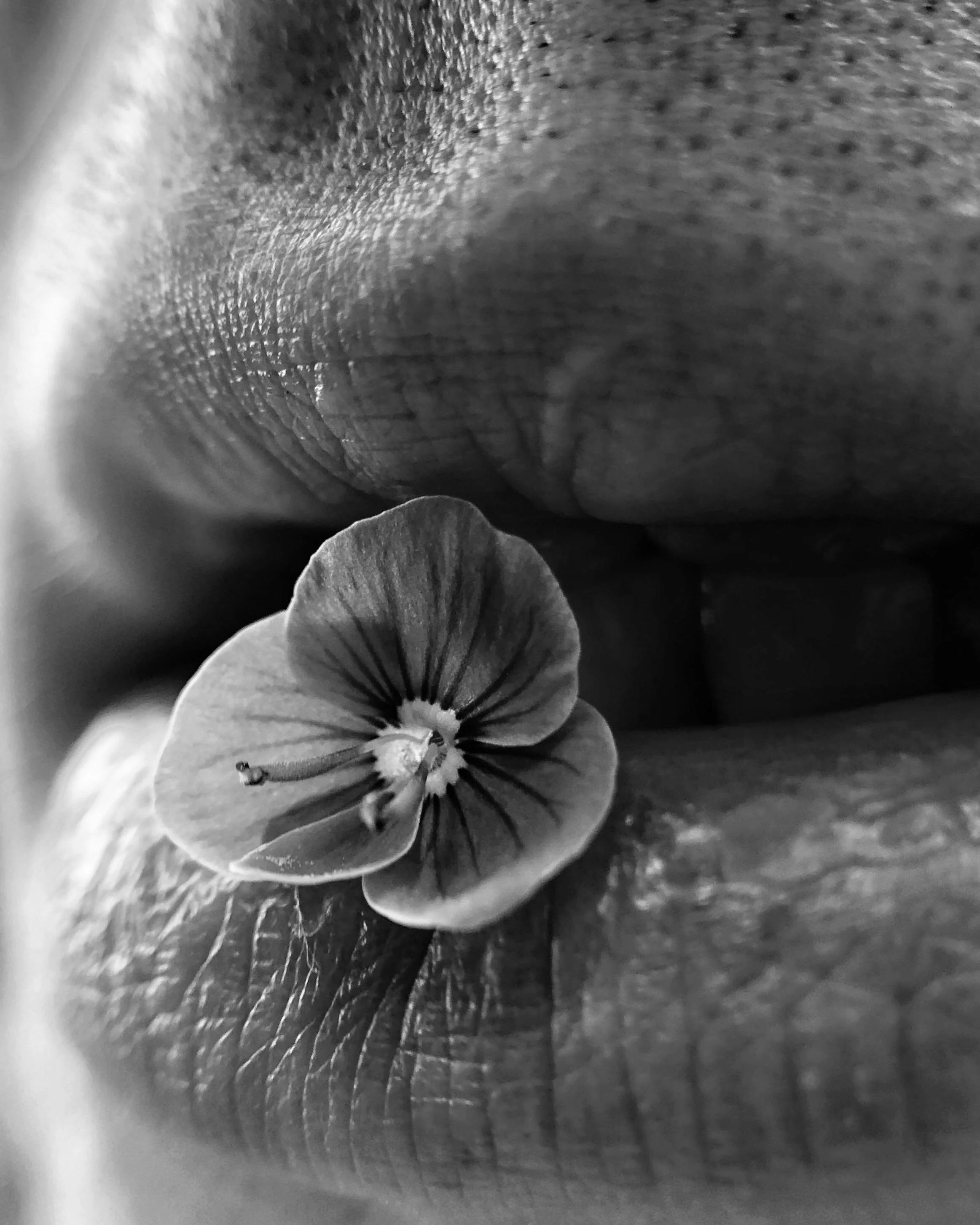 Cultivating Your Voice (Part I)