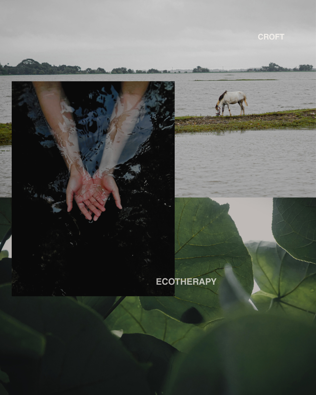 What is Ecotherapy?