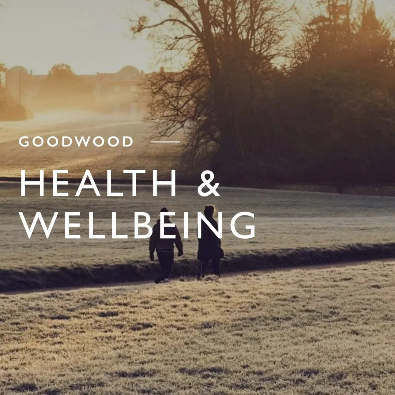 Mood Food Retreat at Goodwood
