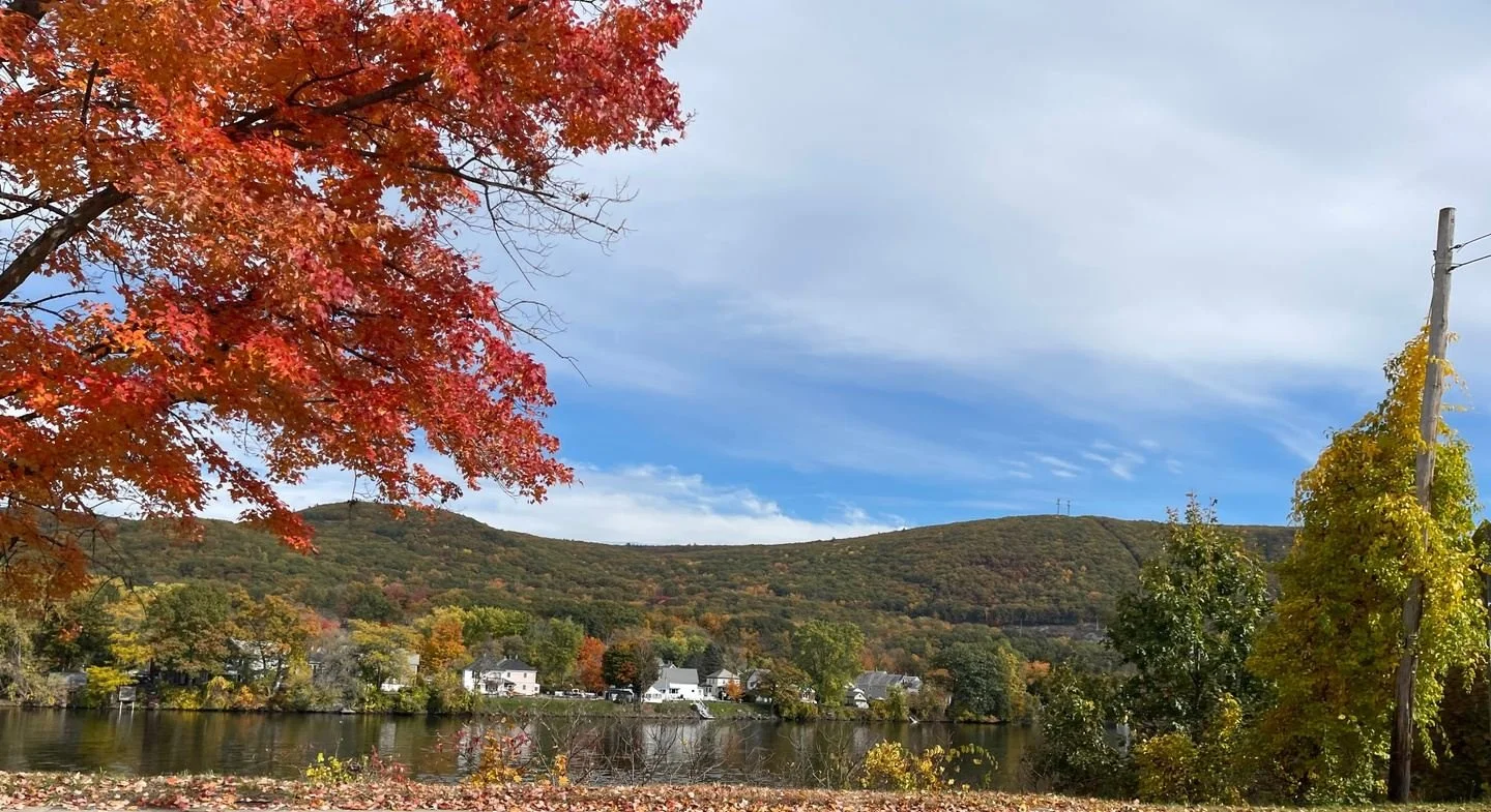 The Pause Retreat with Common Ground Yoga