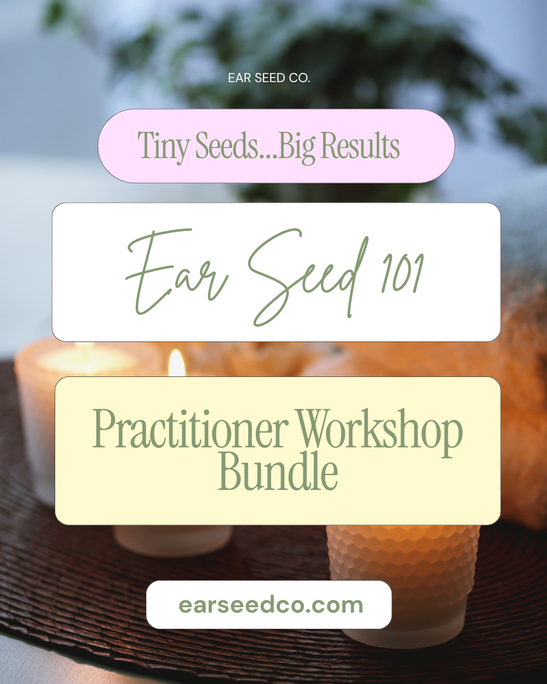 Ear Seed Co Posts (4).png