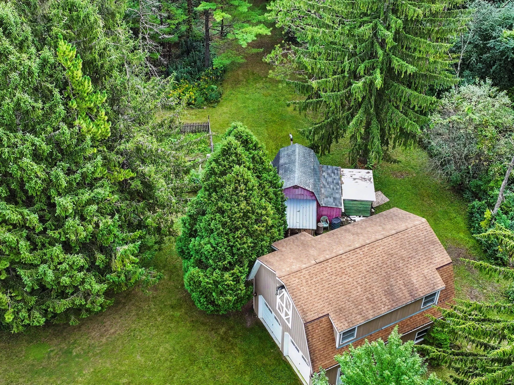 dji_fly_20260908_110618_0011_1788884985539_photo.jpeg