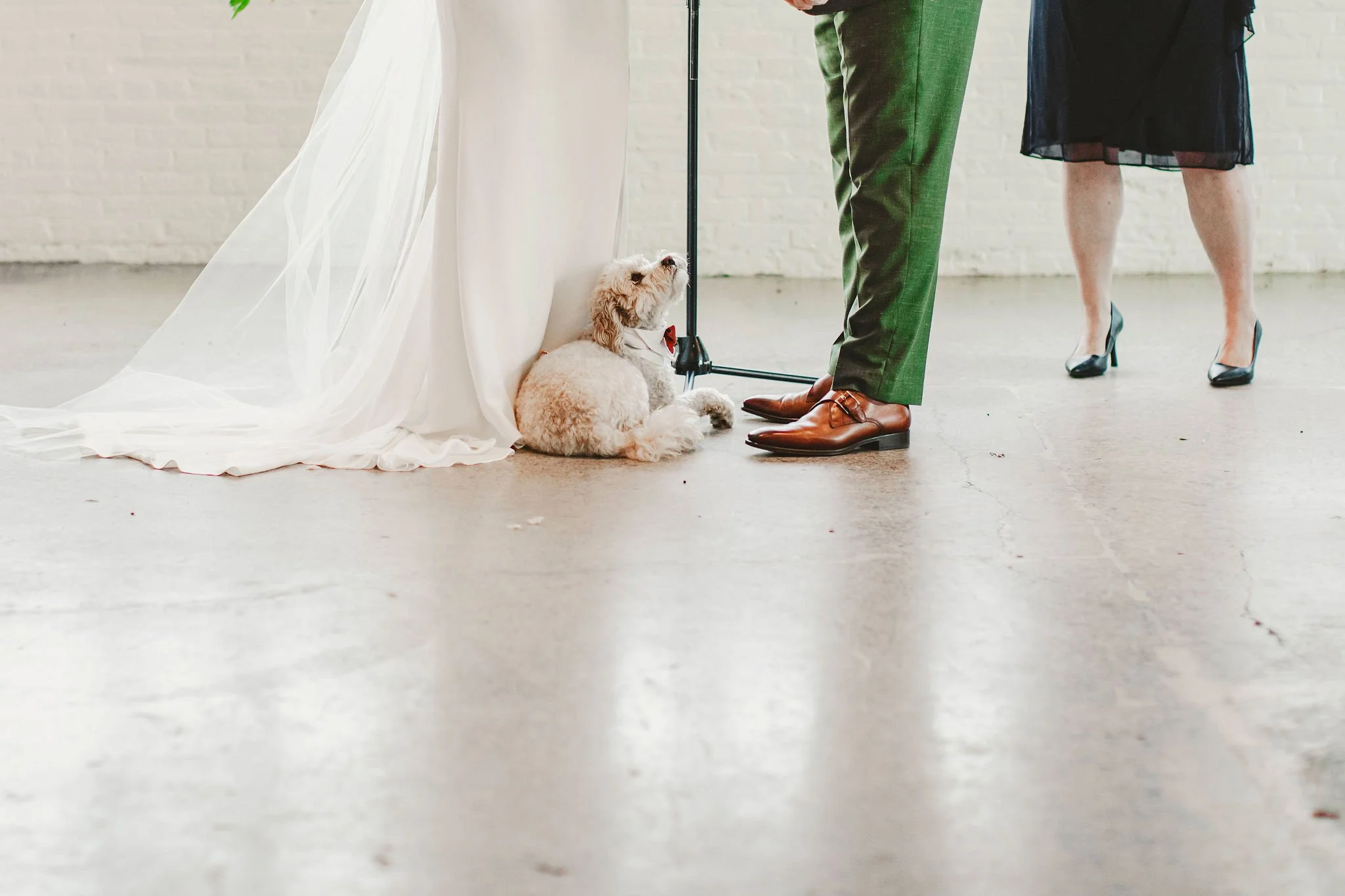Ali+Jarrod_wedding_0704.JPG