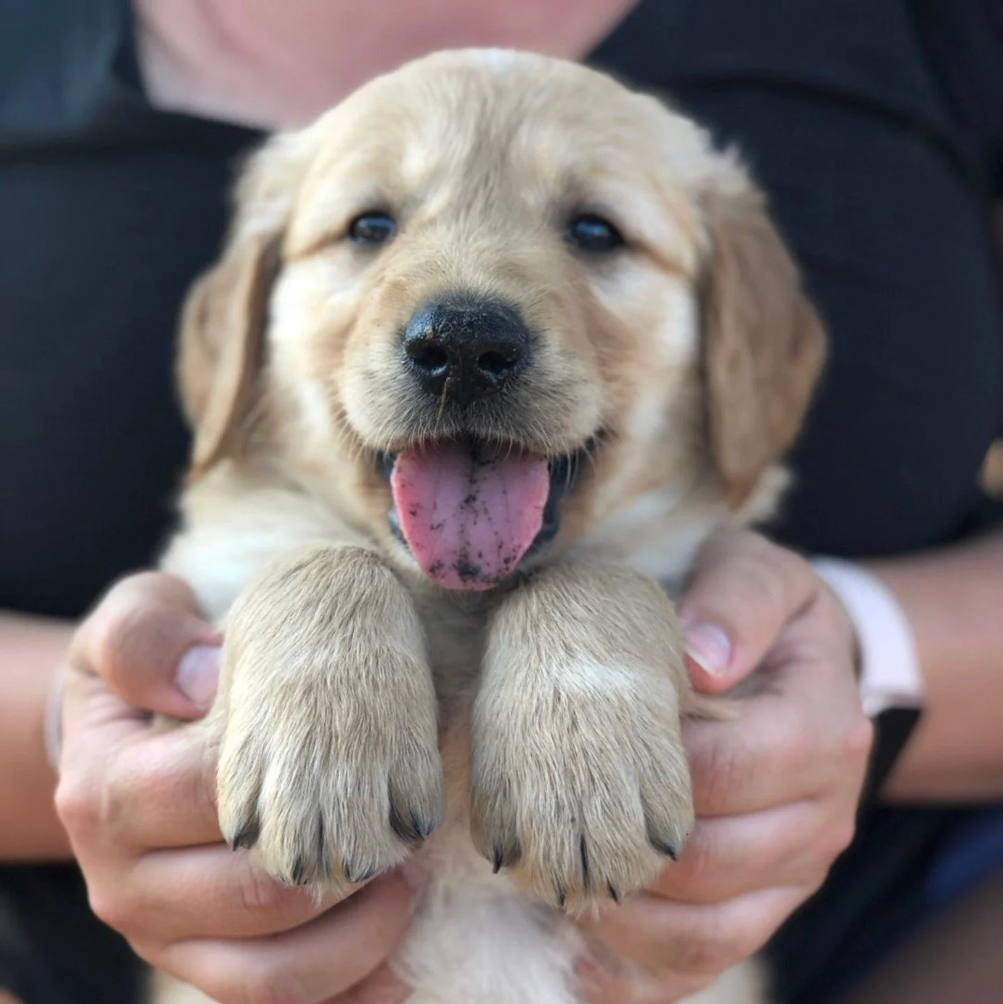 Five years ago, Mozzie joined Anna and Max's family and quickly became a source of comfort, light, and joy. Today, we sadly say goodbye to Mozzie, whose life was cut terribly short by cancer. Please help lift Anna at this incredibly difficult time wi