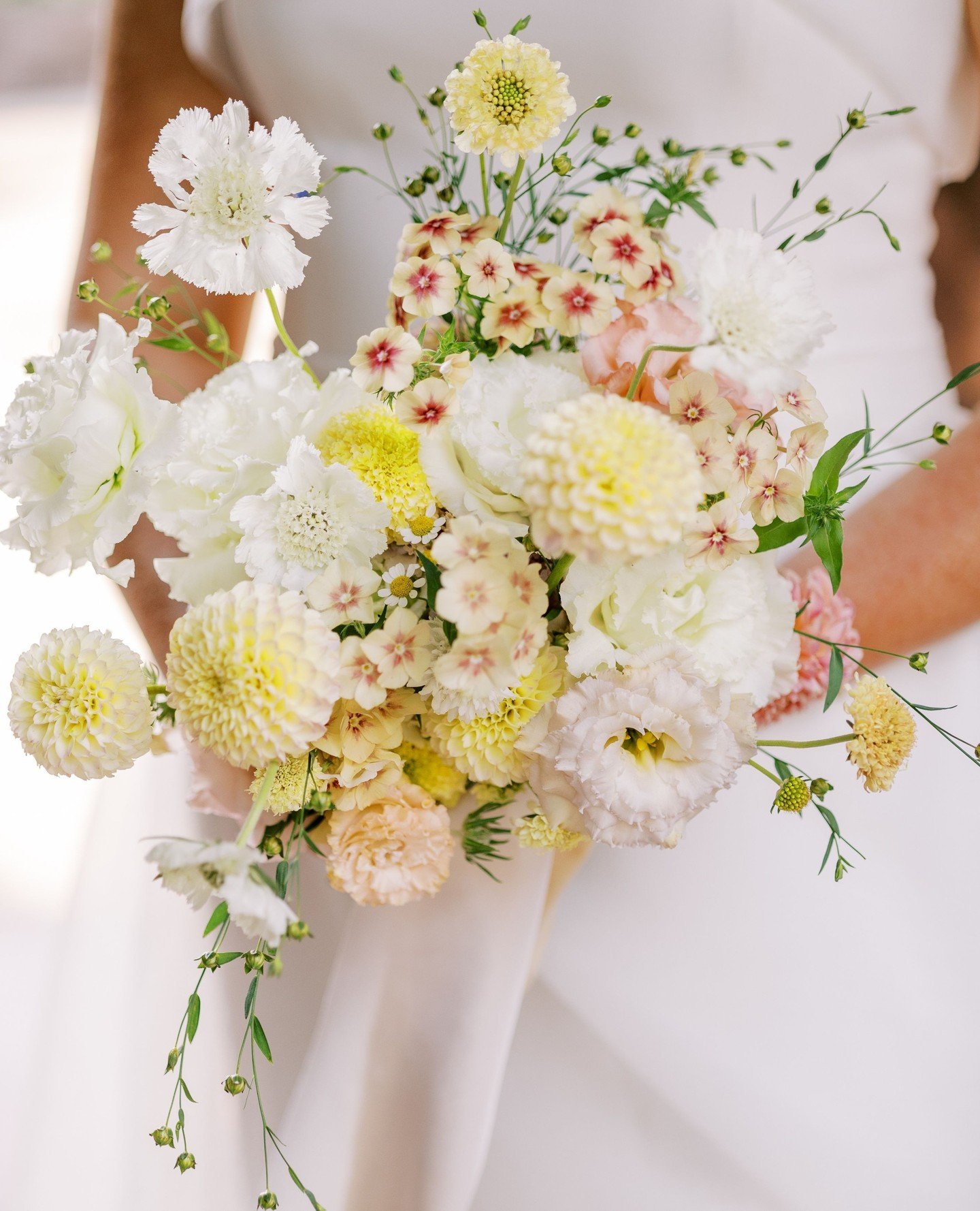 Itty bitty blooms and a gentle blend of white and yellow tones create the dreamiest bouquet!⁠
⁠
Design &amp; Floral | @ashleyfoxdesigns⁠
Planning | @stylearchitectsweddings⁠
Venue | @vandusenmansion⁠
Photography | @maritwilliamsphoto⁠
Videography | @