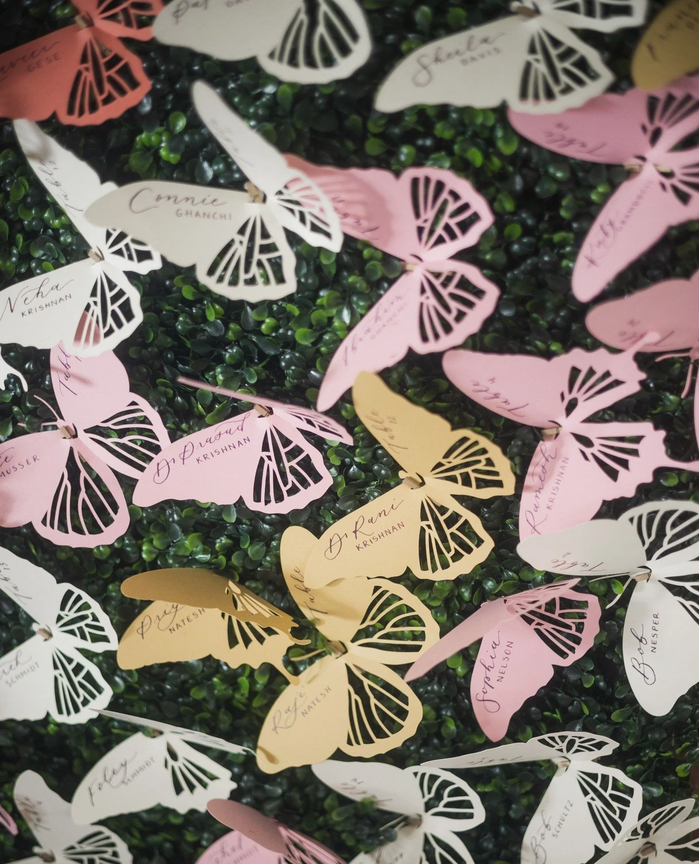 Every butterfly was placed by hand! Small details, big impact.⁠
⁠
Planning | ⁠@stylearchitectsweddings⁠
Venue | ⁠@machineshopmpls⁠
Photography | @cadenceandeli⁠
Videography | ⁠@snowshoecatering⁠
Catering | ⁠⁠@chowgirlscatering⁠
Cake | ⁠⁠@sweetretreat