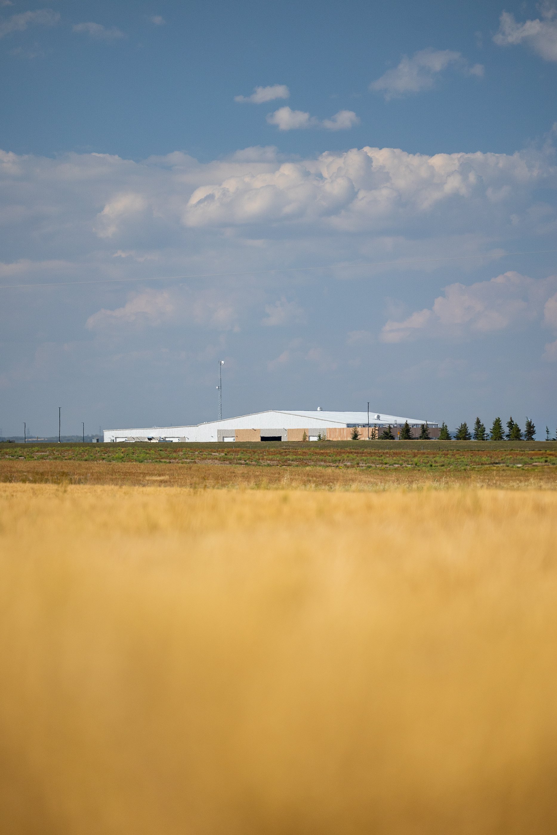 MAV55688.jpg
