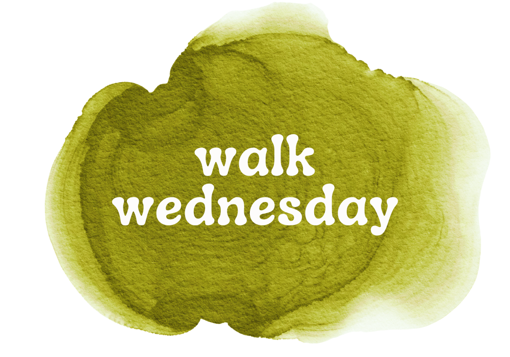 Walk Wednesday [stony]