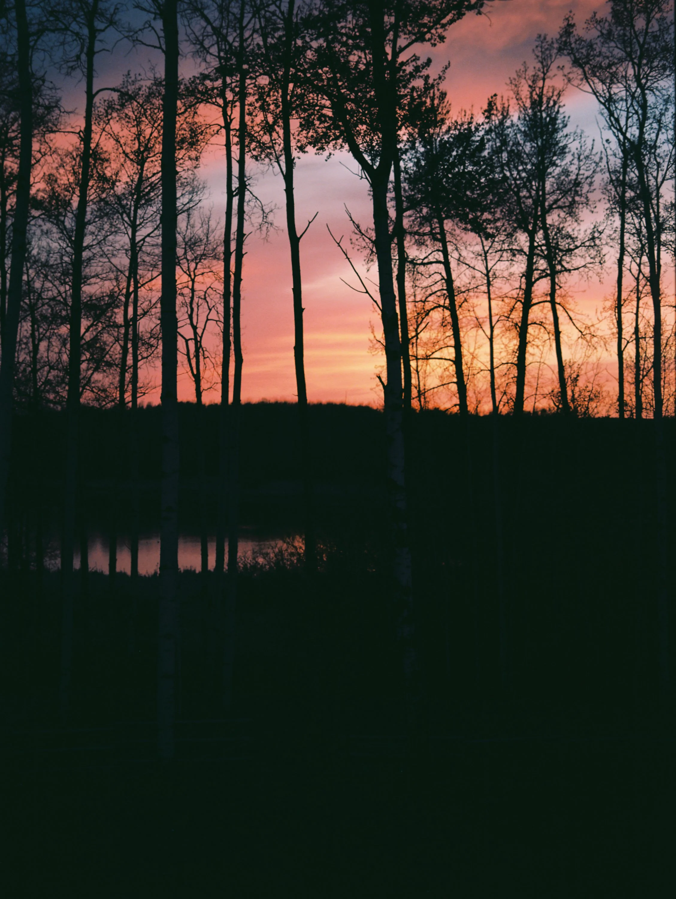 7684_15.jpg