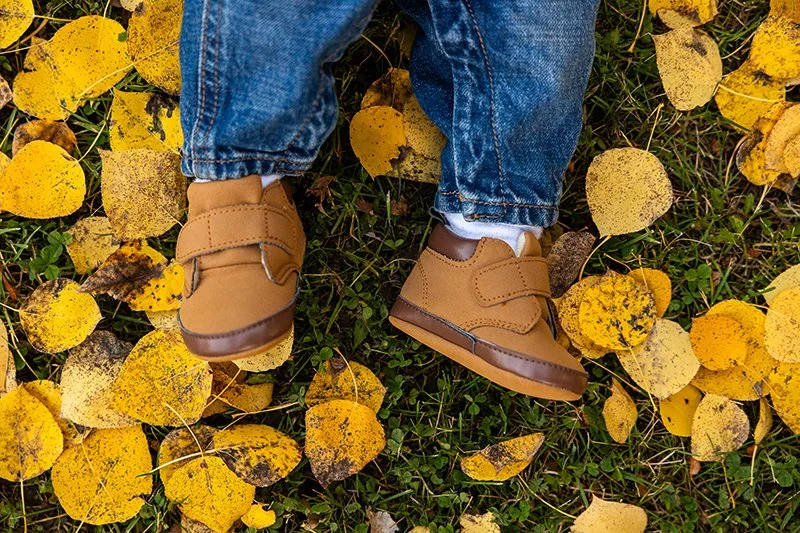 fall bb.jpg