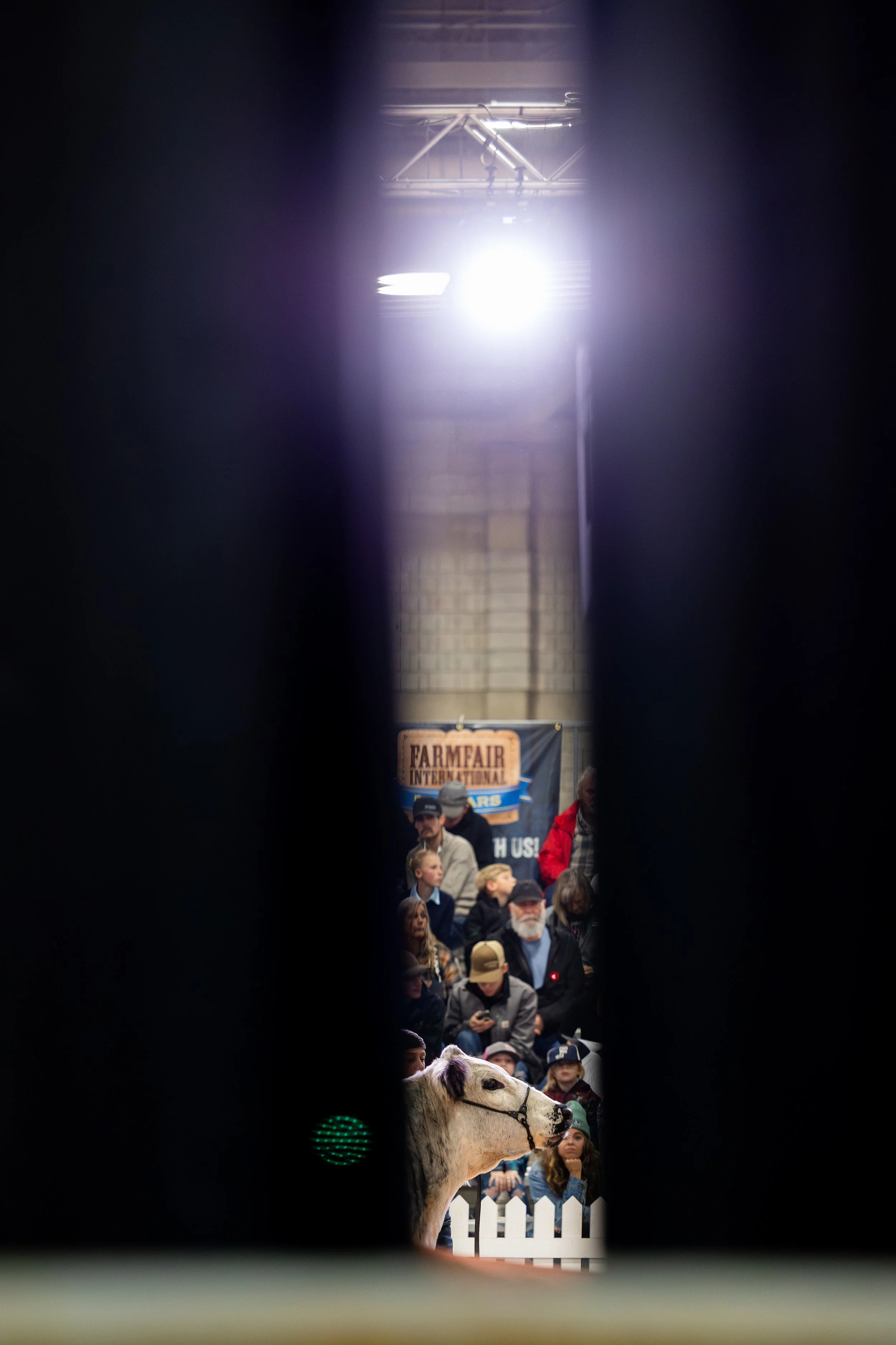 FFI2024-SAT-355.jpg