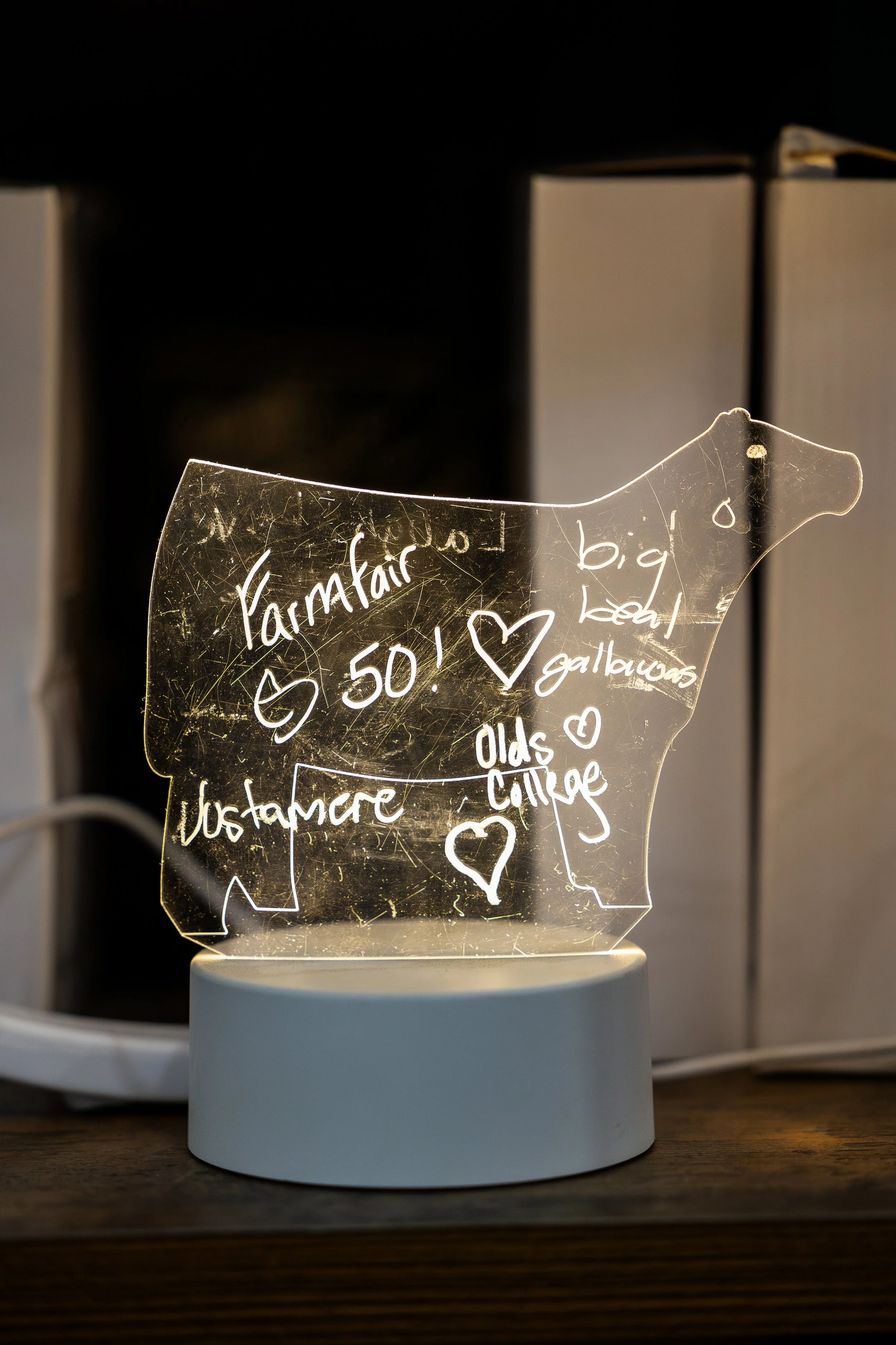 FFI2024-THURS-38.jpg