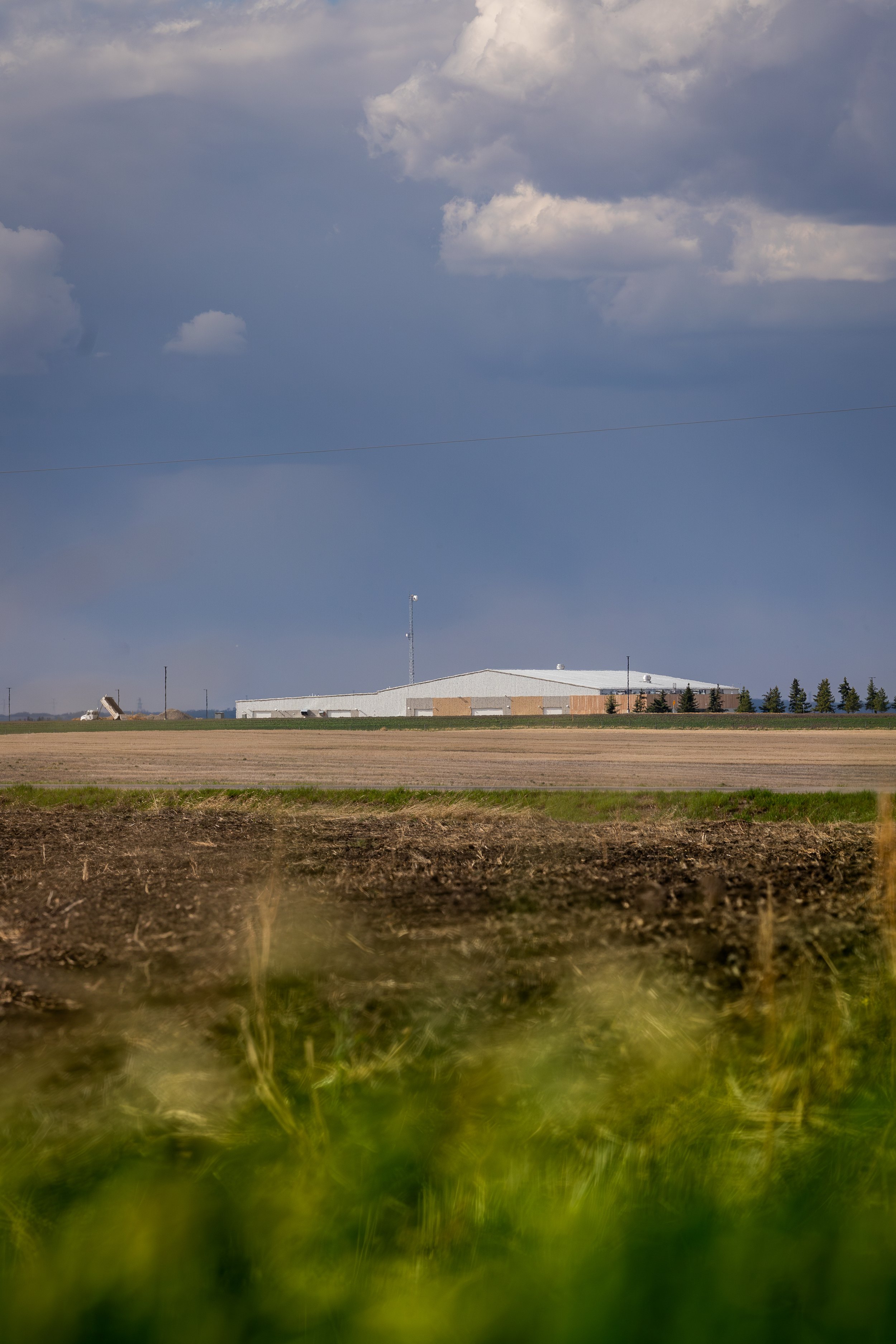 MAV57692-Enhanced-NR.jpg