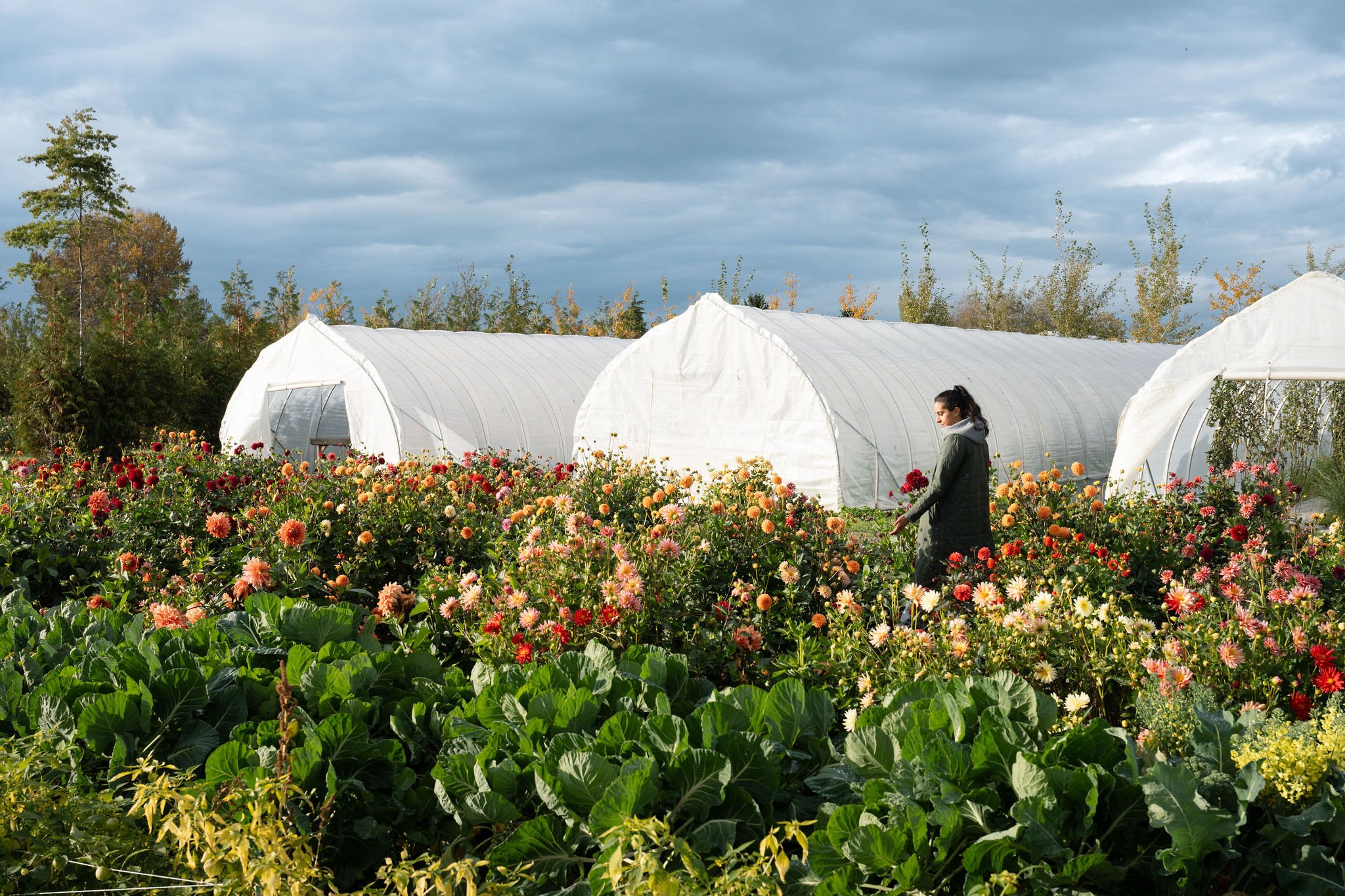 Regenerative Agriculture X Open Road Group
