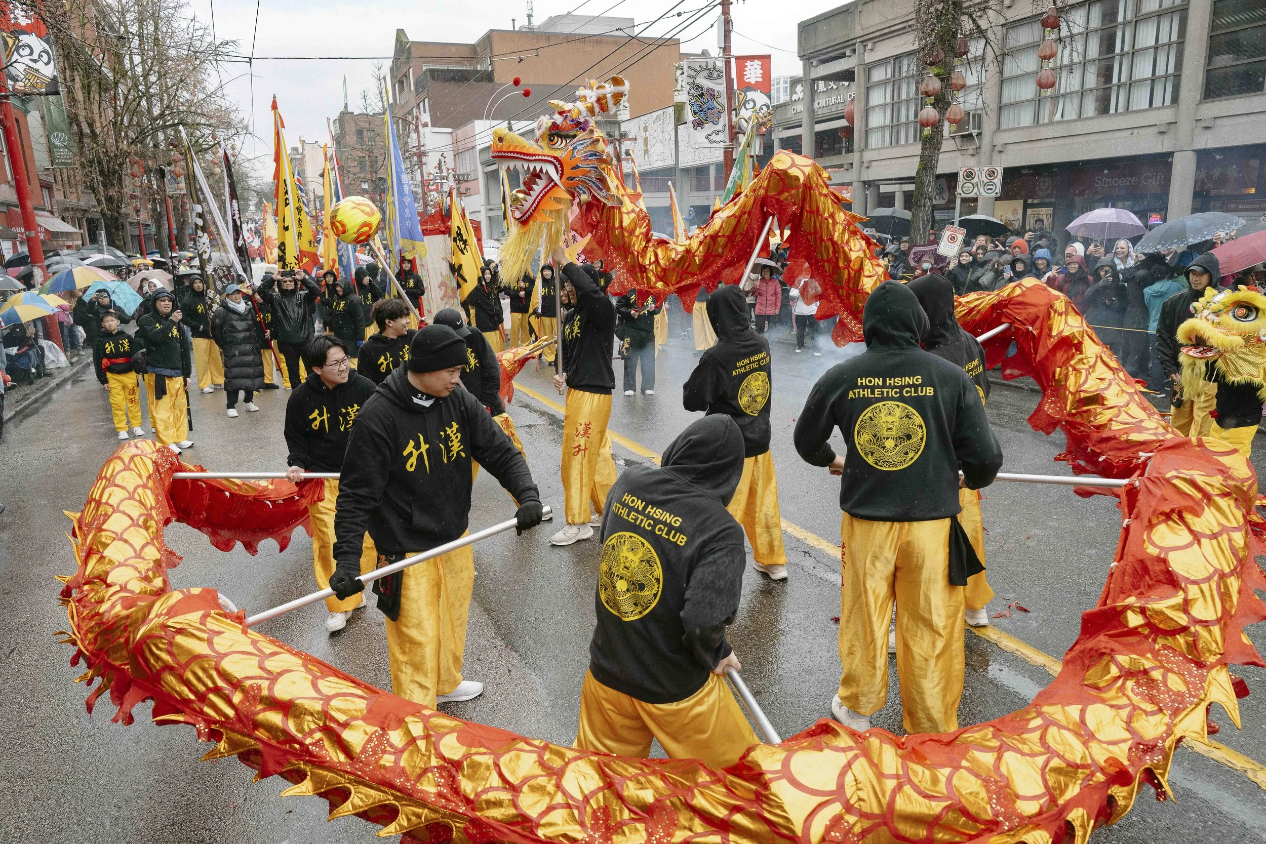 lunar_new_year_parade_ian_harland6.jpg