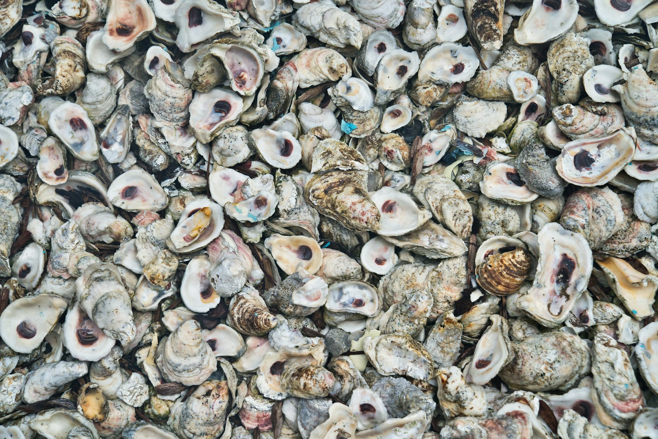 unsplash-image-SFe3ldnqVr0.jpg