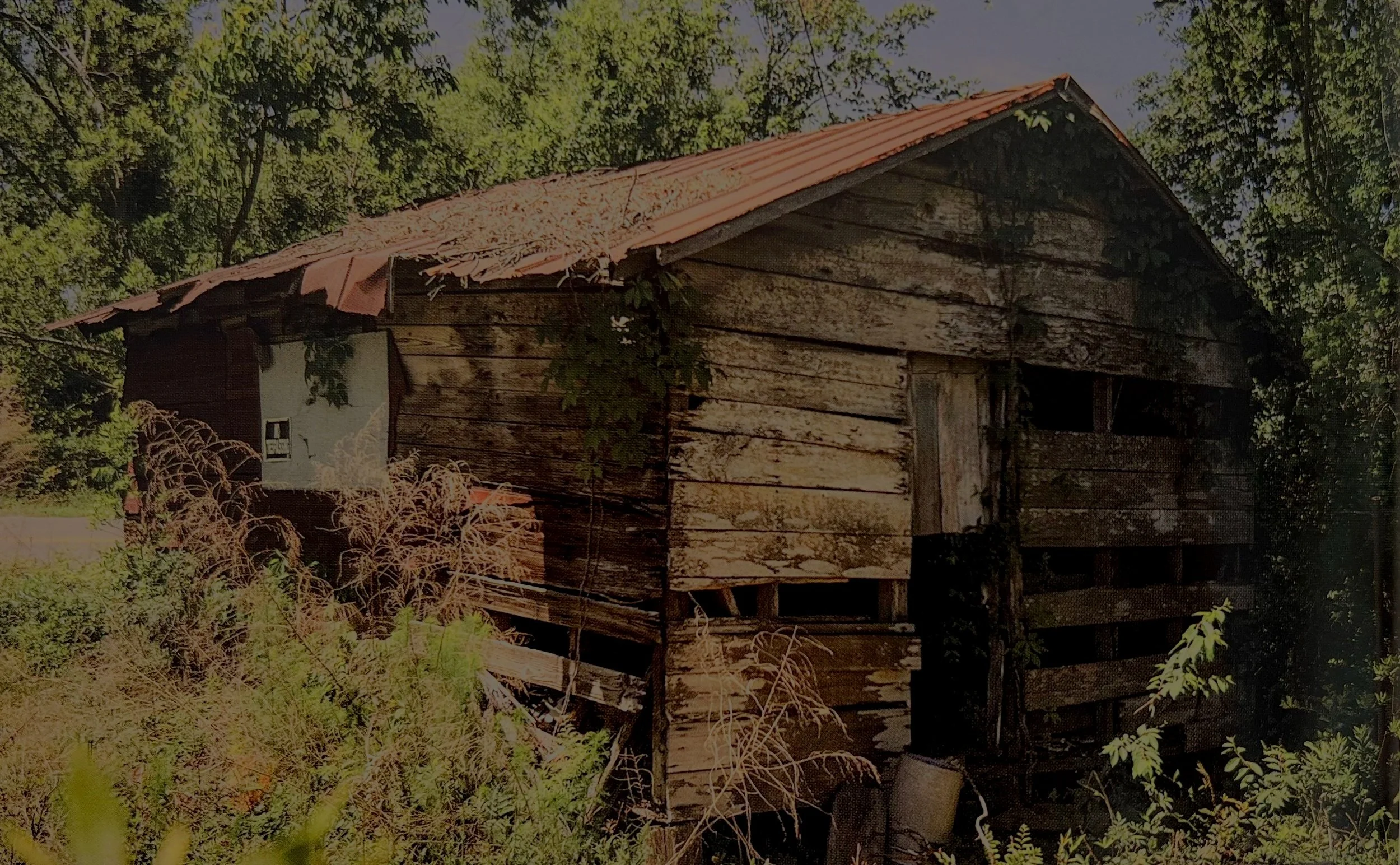 <br/a> Baygall Historic <br/a> Gullah Neighborhood