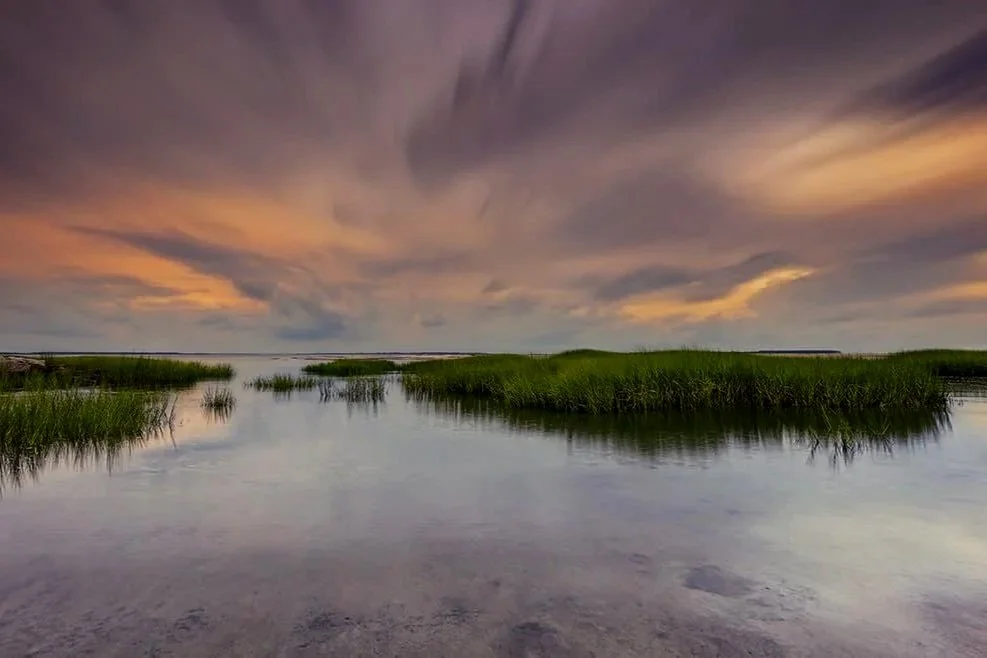 <br/a> Baygall Historic <br/a> Gullah Neighborhood