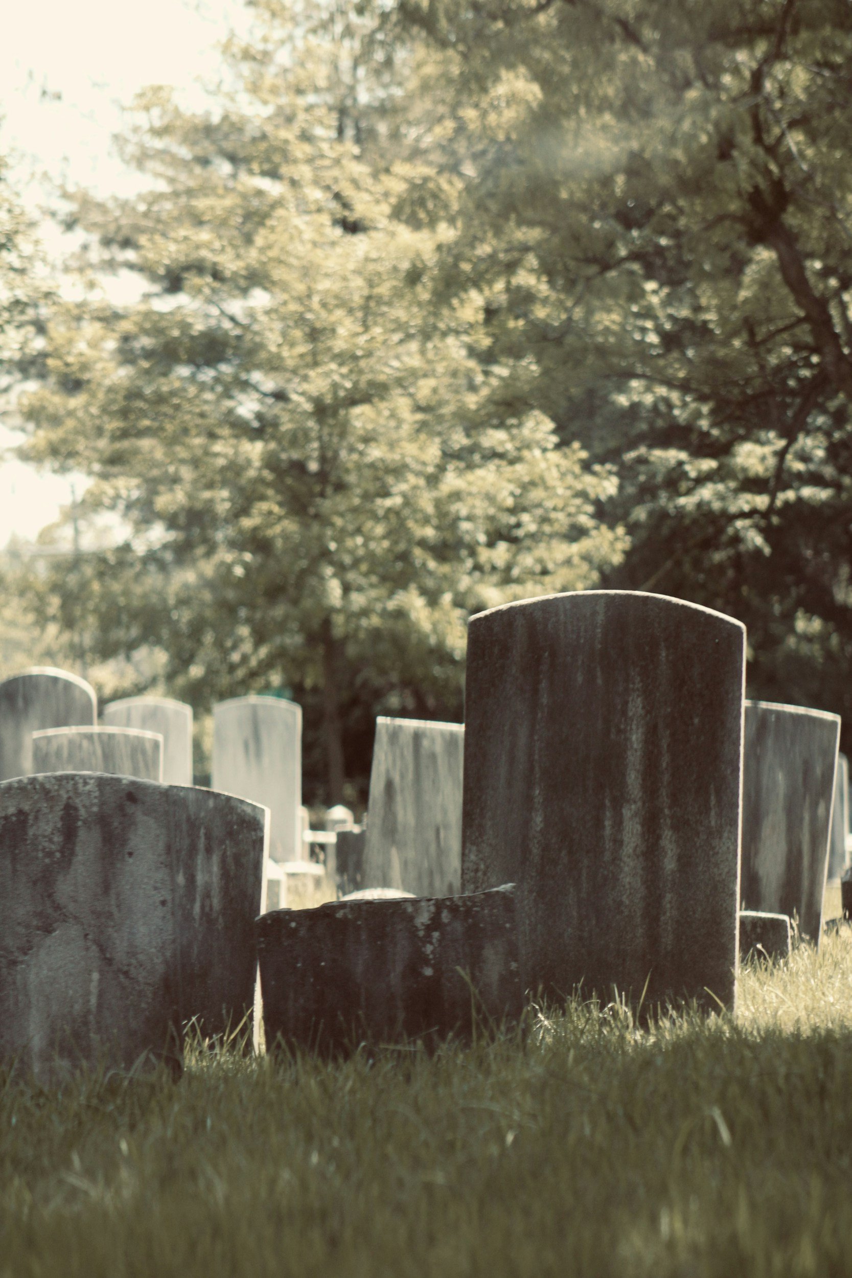 Daufuskie Island Historic Gullah Cemetery Cleanup 