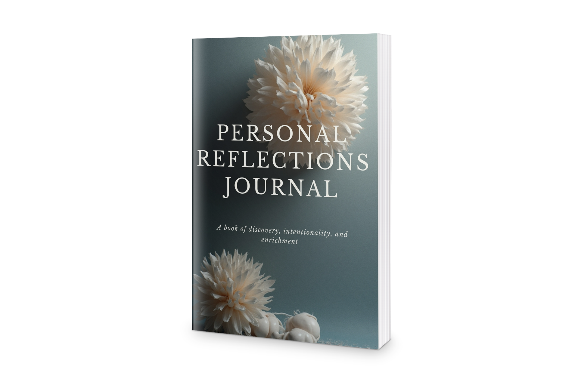 mediamodifier_image - 2025-12-28T040558.067.png