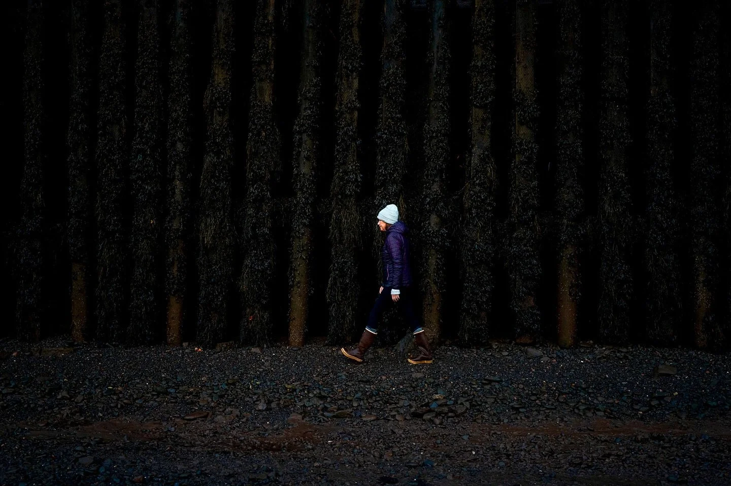 Blue eyes at low tide 🌊 

#atlanticcanada #travelcanada #canada #sigmaart #sigmacanada #maritimes